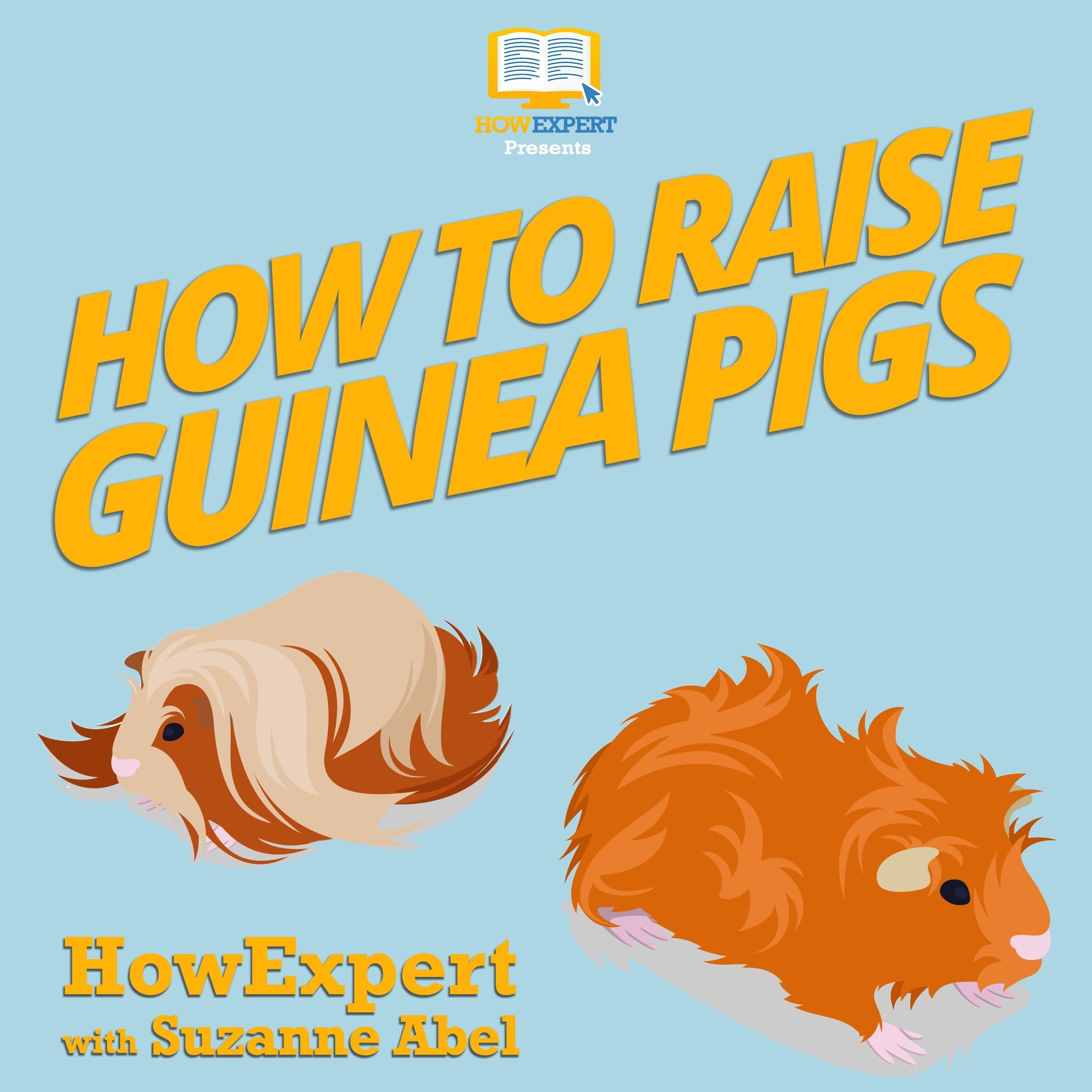 How To Raise Guinea Pigs