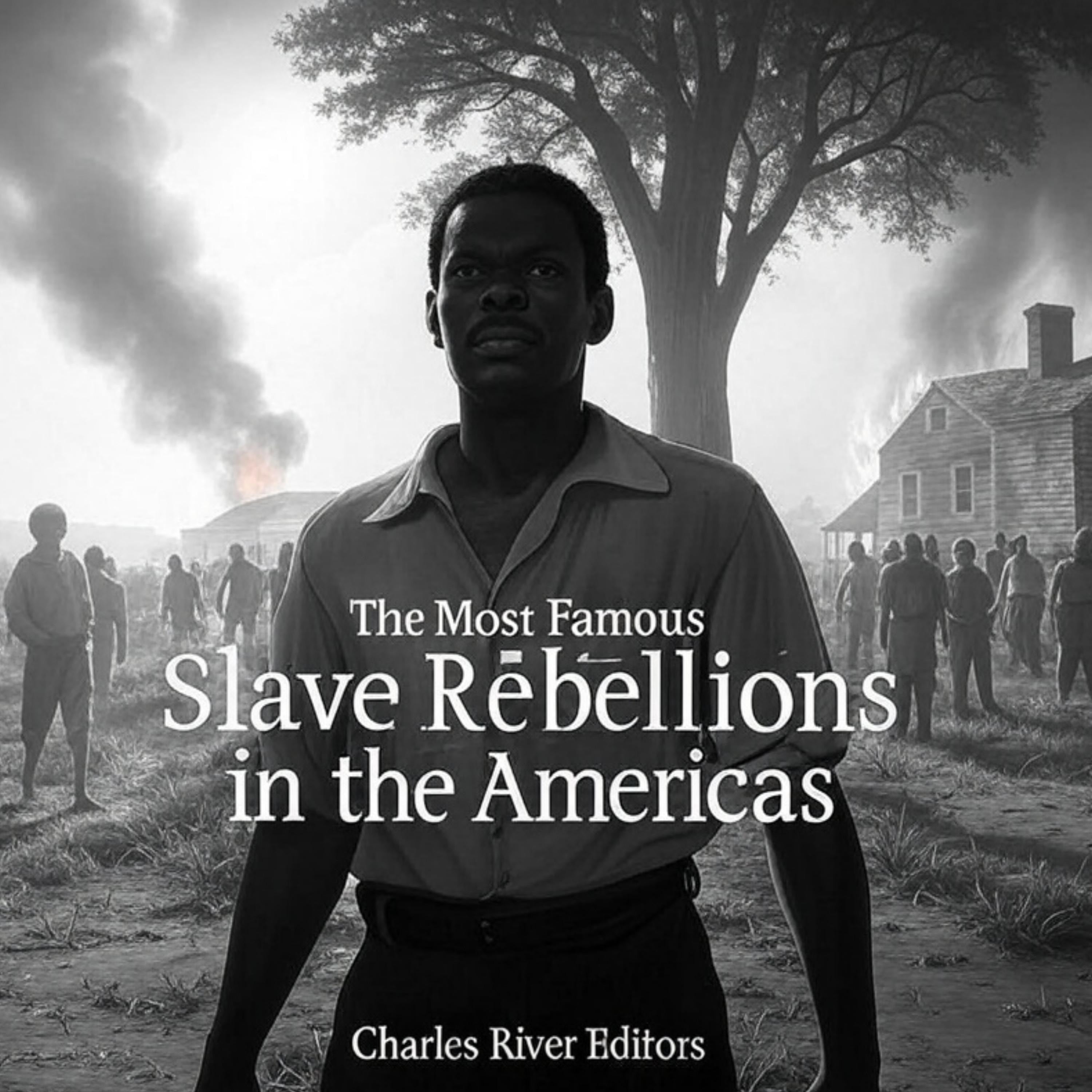 The Most Famous Slave Rebellions in the Americas
