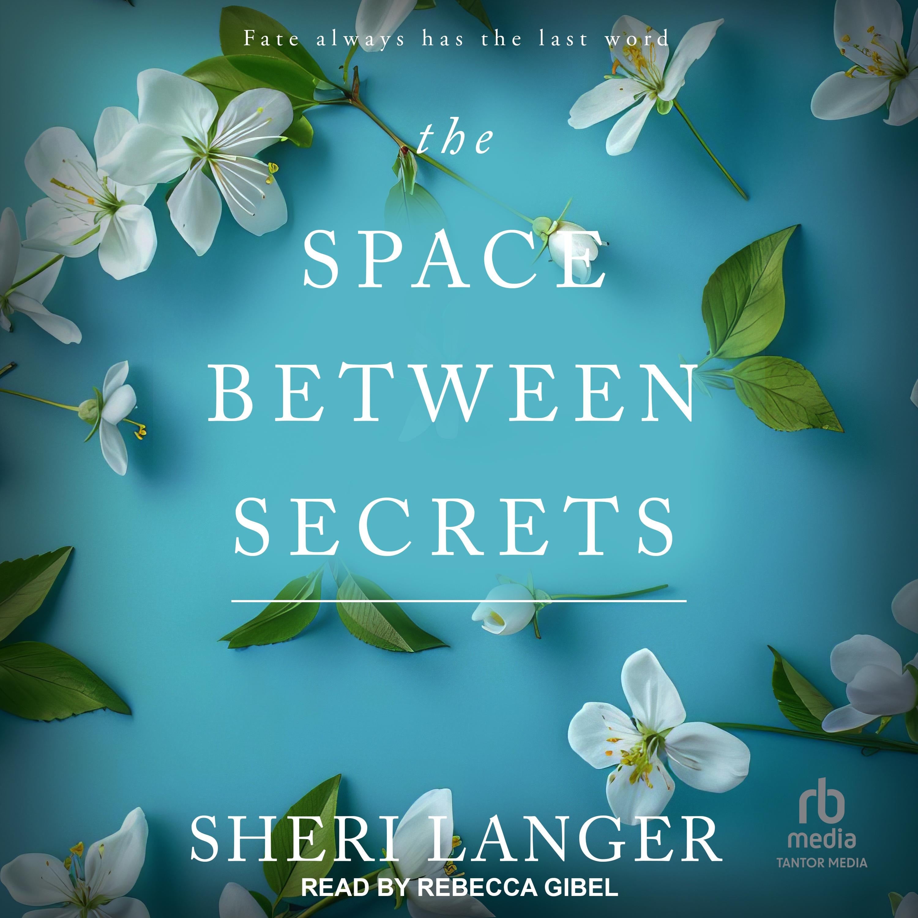 The Space Between Secrets