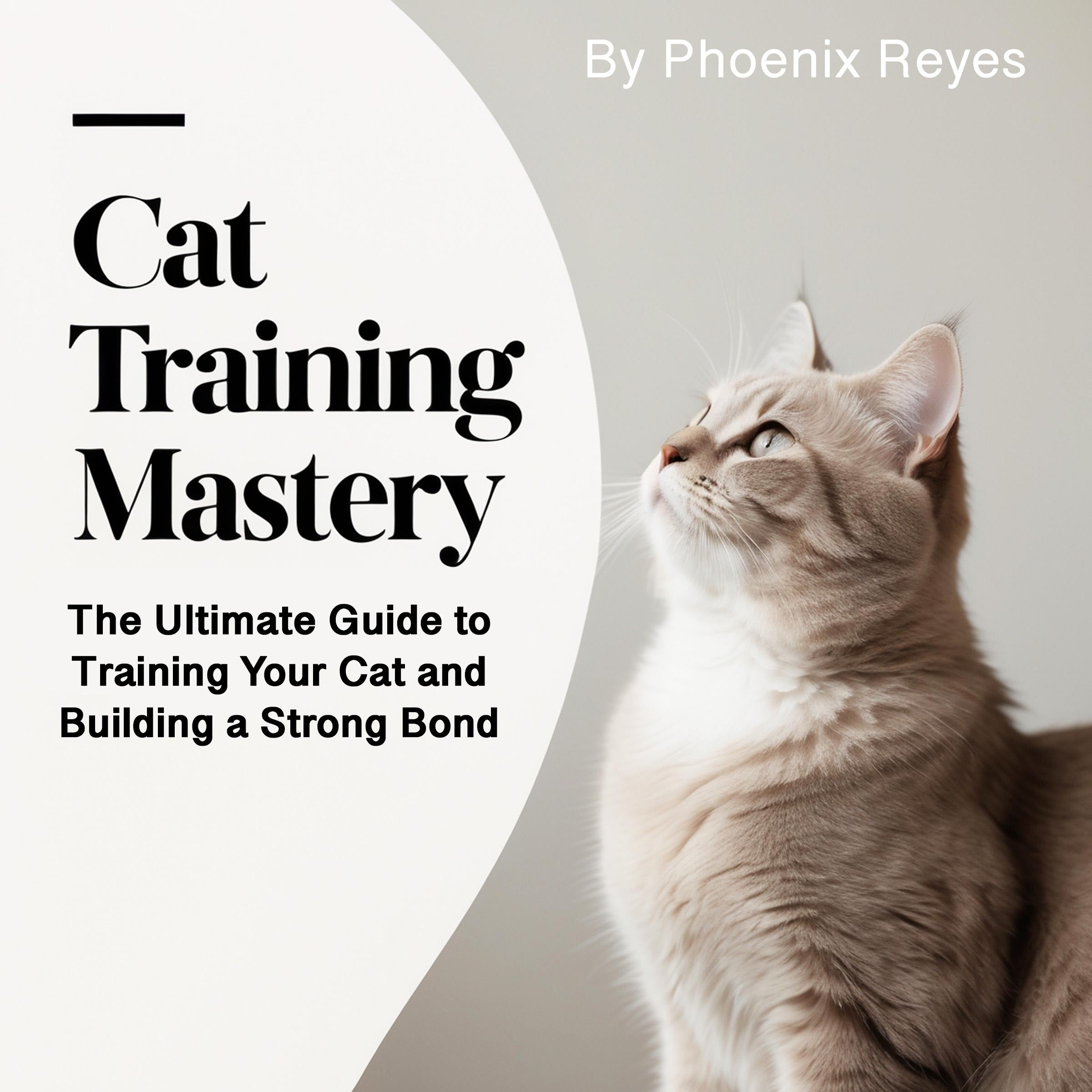 Cat Training Mastery