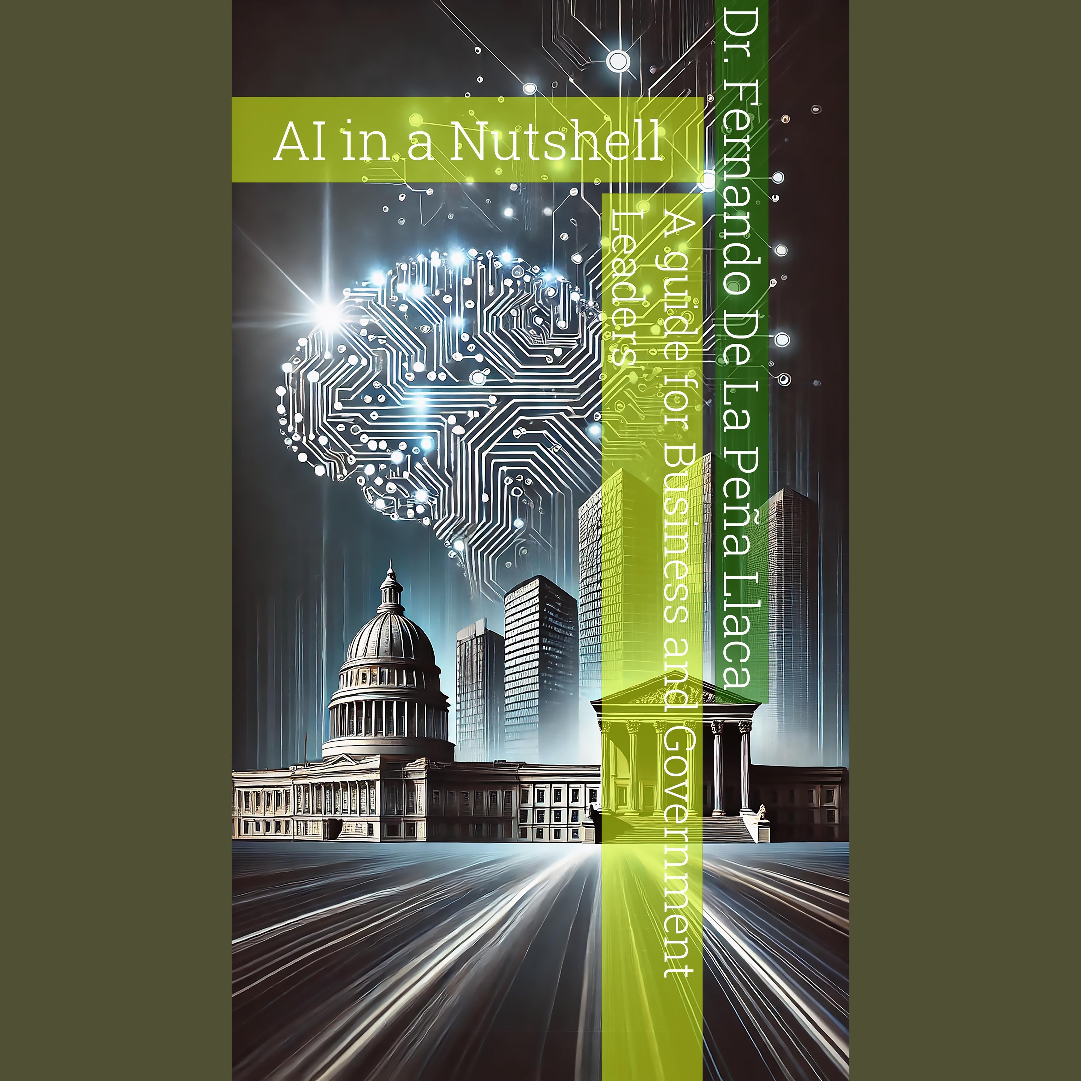 AI in a Nutshell: A Guide for Business and Government Leaders