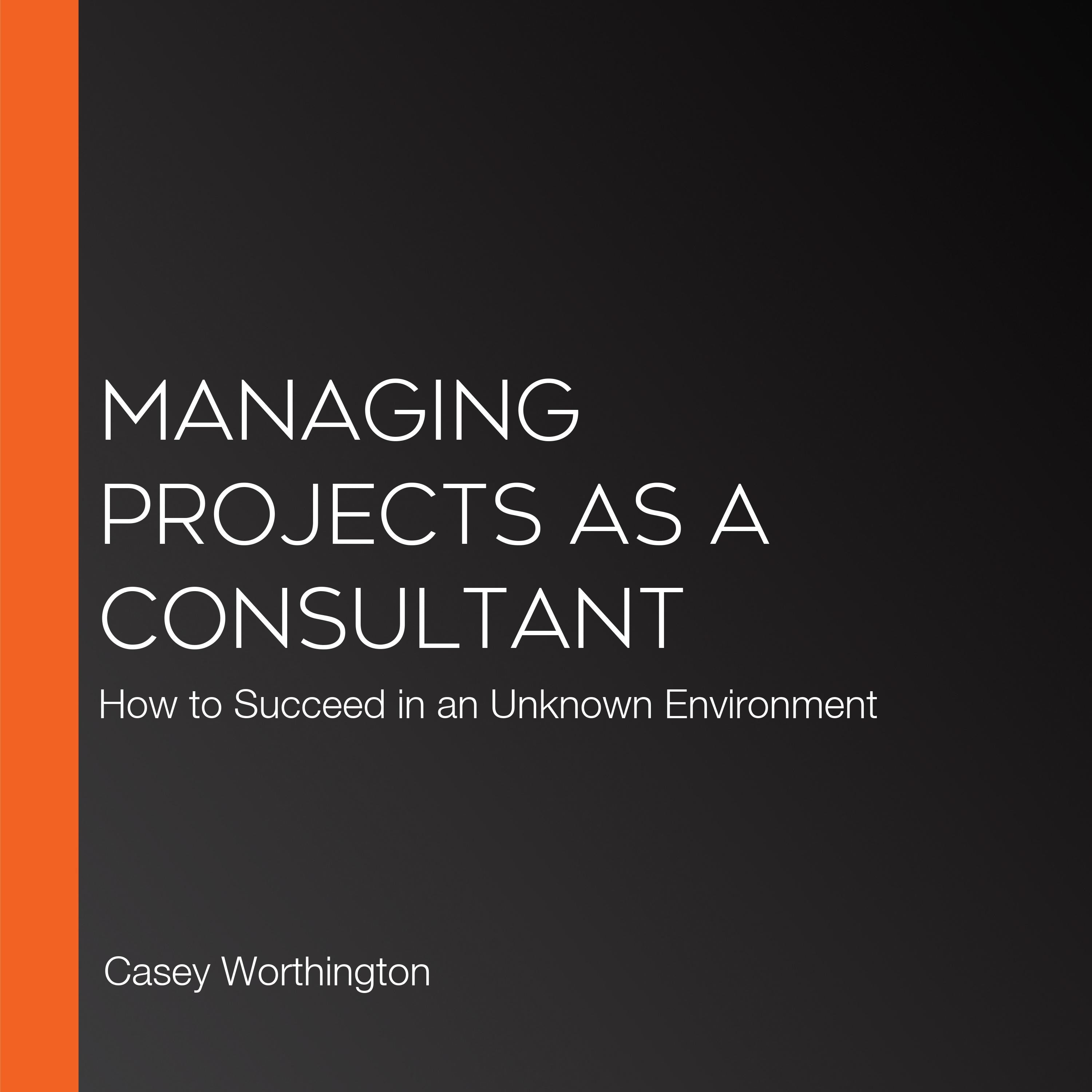 Managing Projects as a Consultant