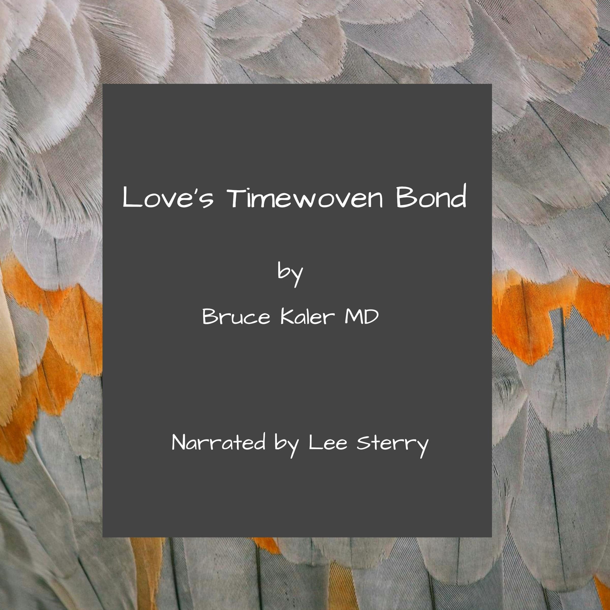 Love's Timewoven Bond: A Tale of Sci-Fi Romance