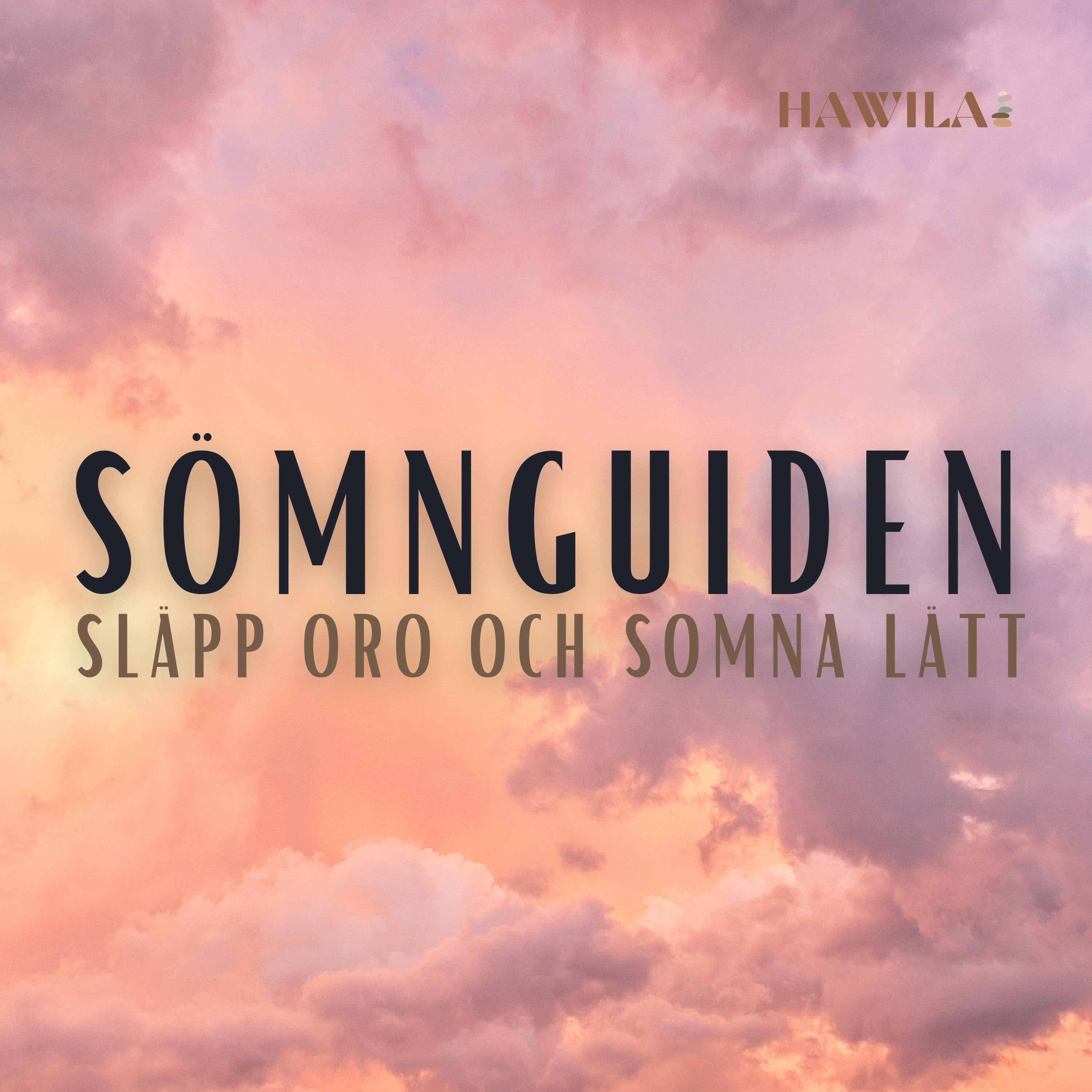 Sömnguiden – släpp oro och somna lätt
