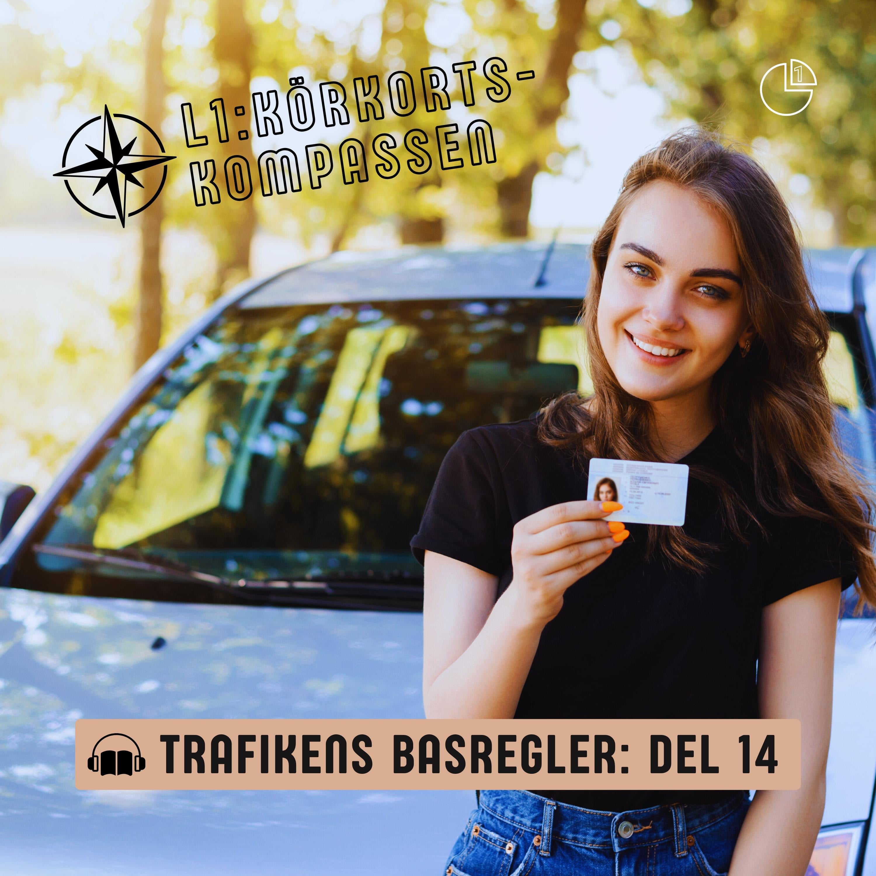 Trafikens basregler - Del 14