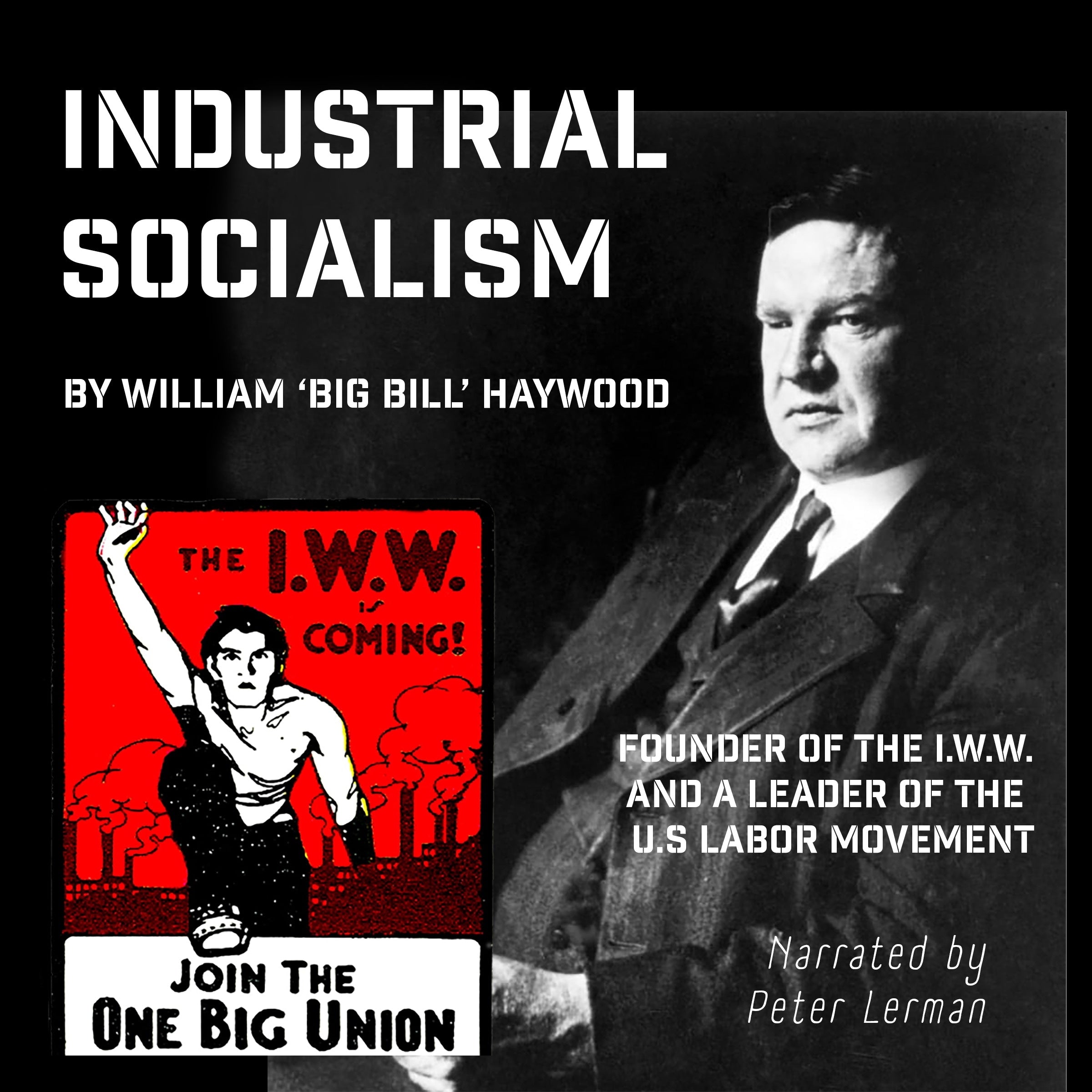 Industrial Socialism