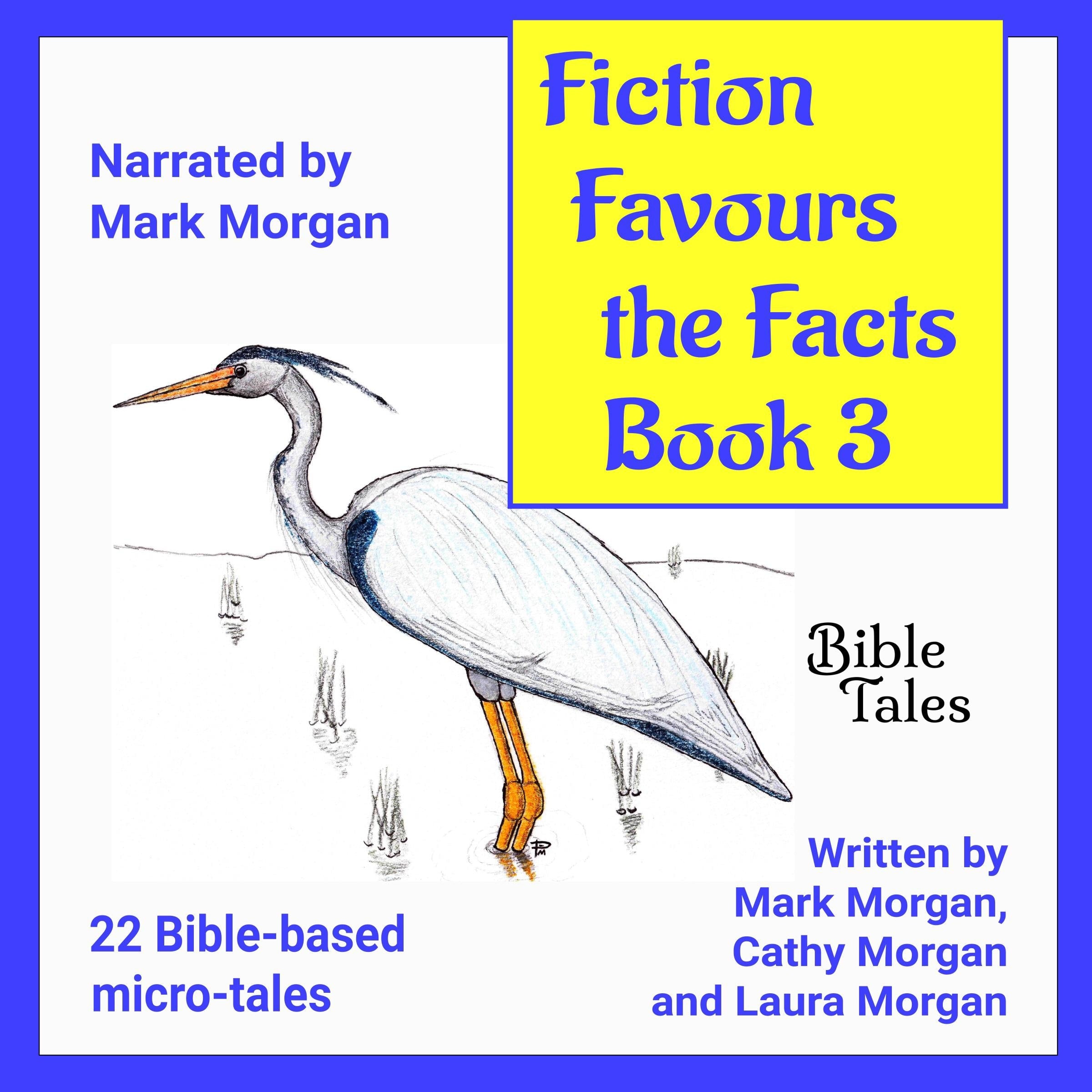 Fiction Favours the Facts – Book 3