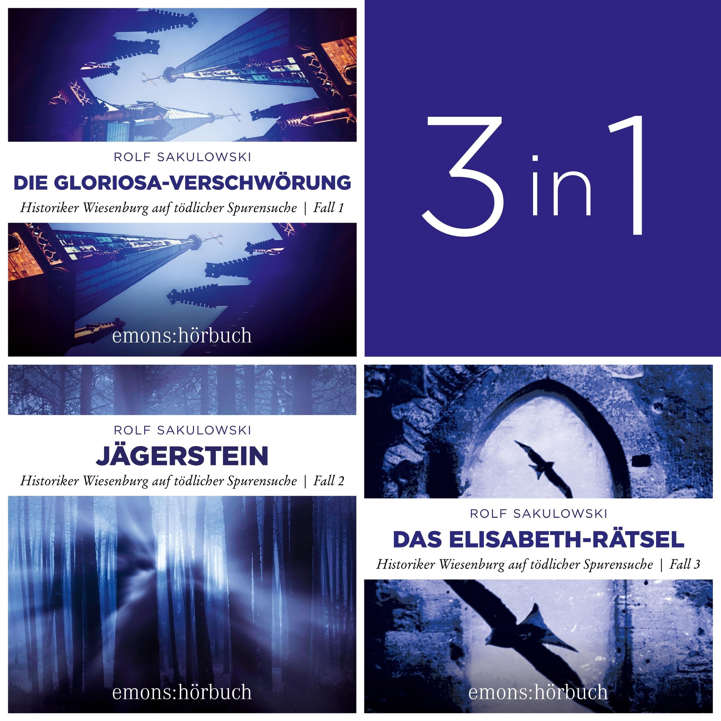 Historiker Wiesenburg auf tödlicher Spurensuche (Band 1-3) - Historiker Wiesenburg auf tödlicher Spurensuche (Ungekürzt)