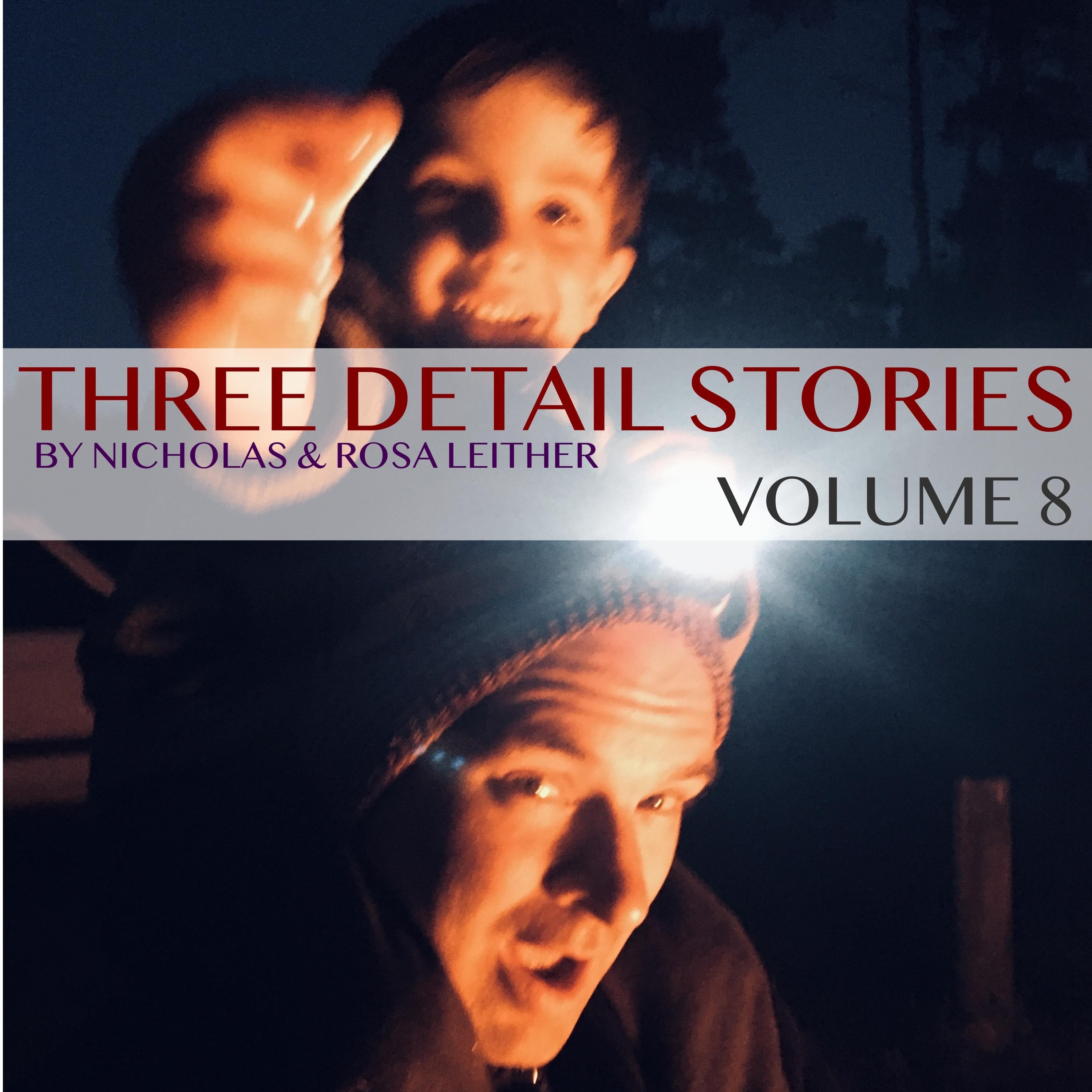 Three Detail Stories