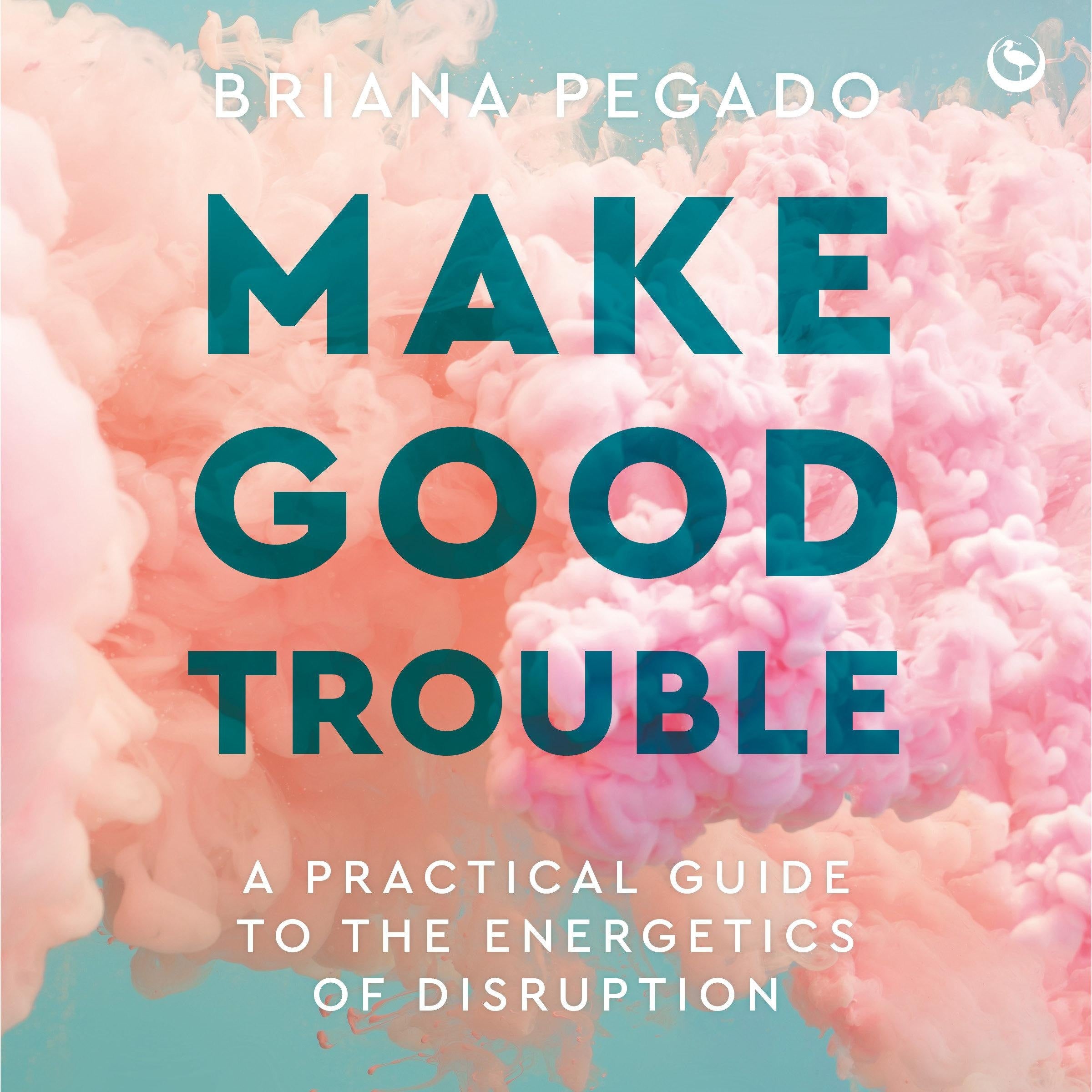 Make Good Trouble