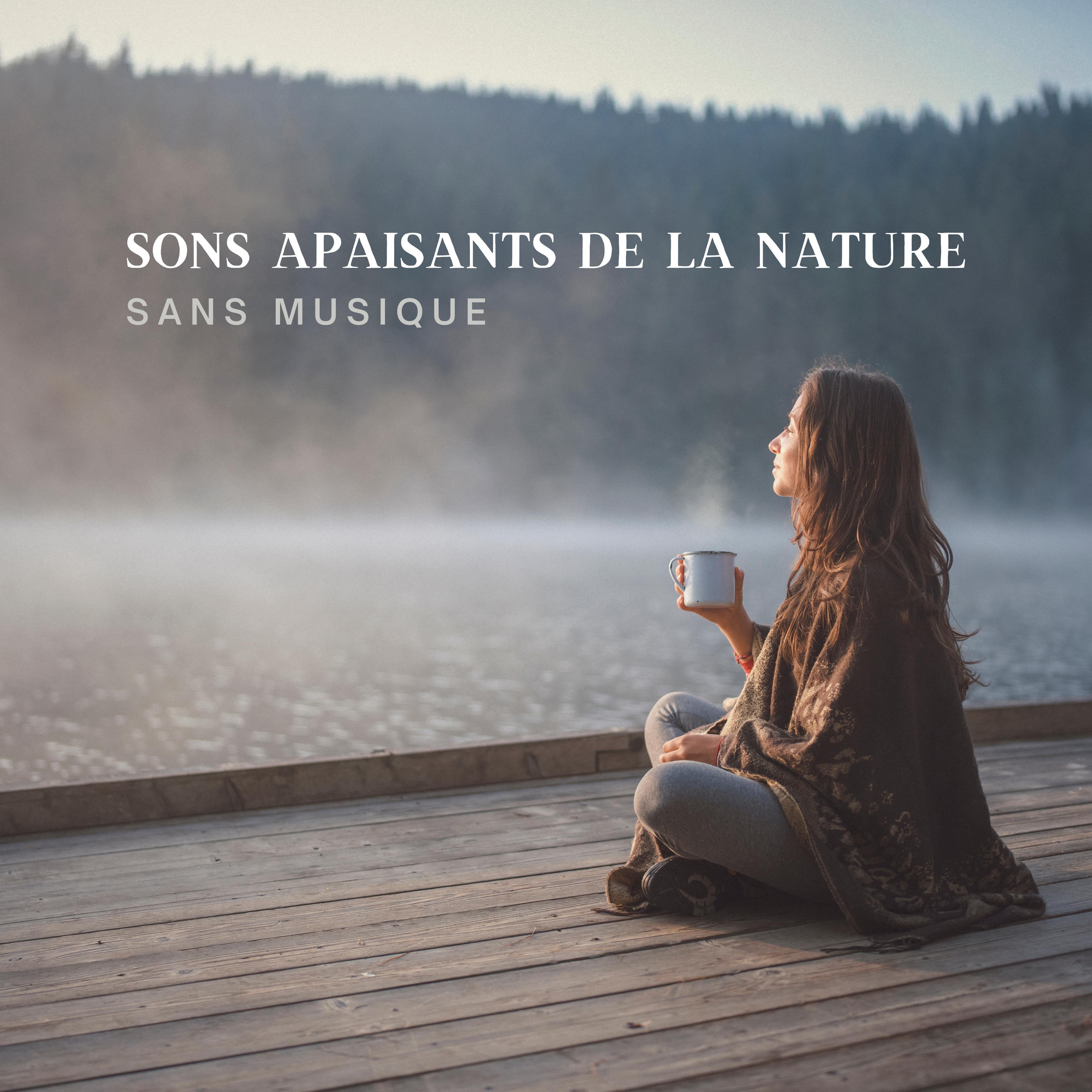 Sons Apaisants de la Nature (Sans Musique) pour un Sommeil Profond, Méditation et Relaxation