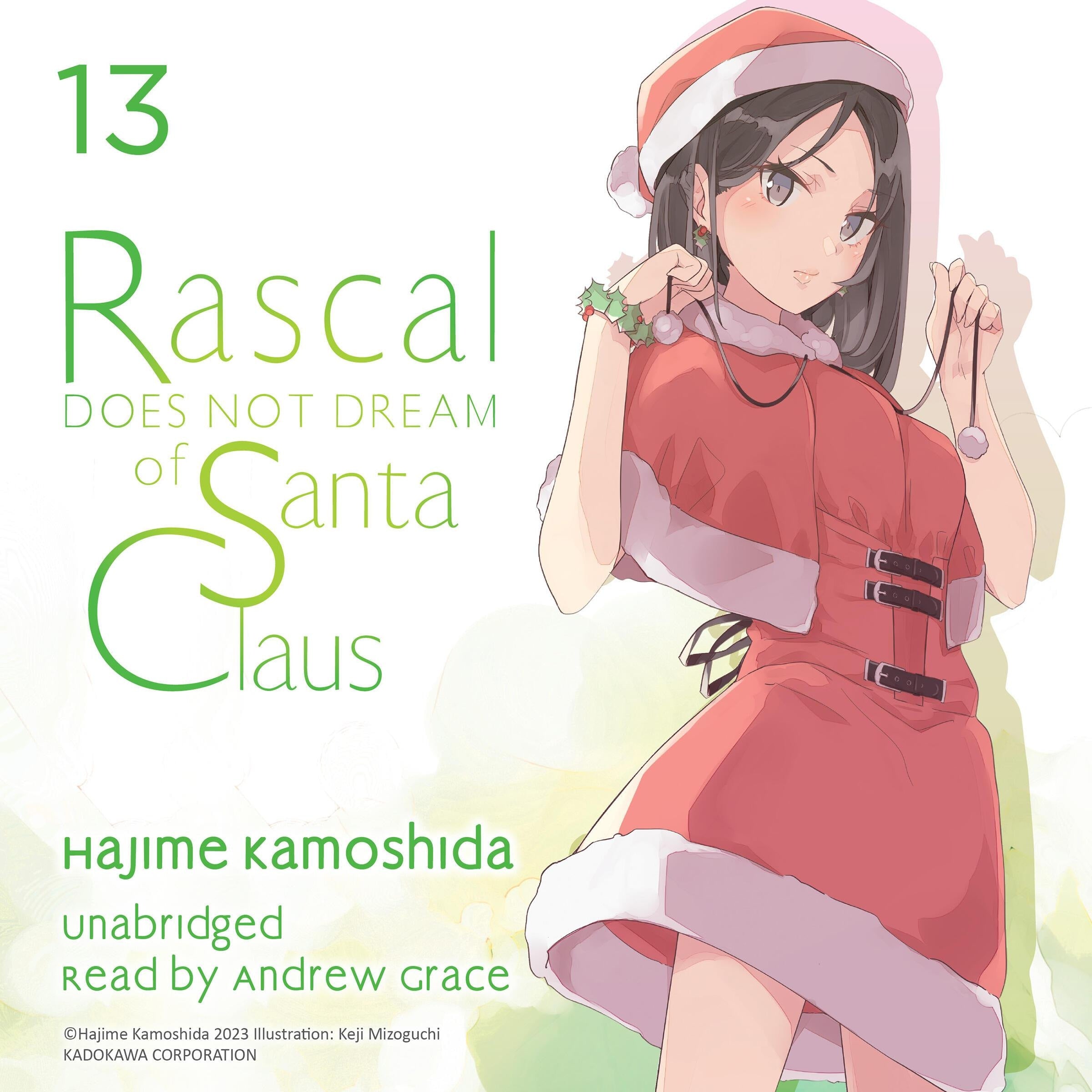 Rascal Does Not Dream of Santa Claus