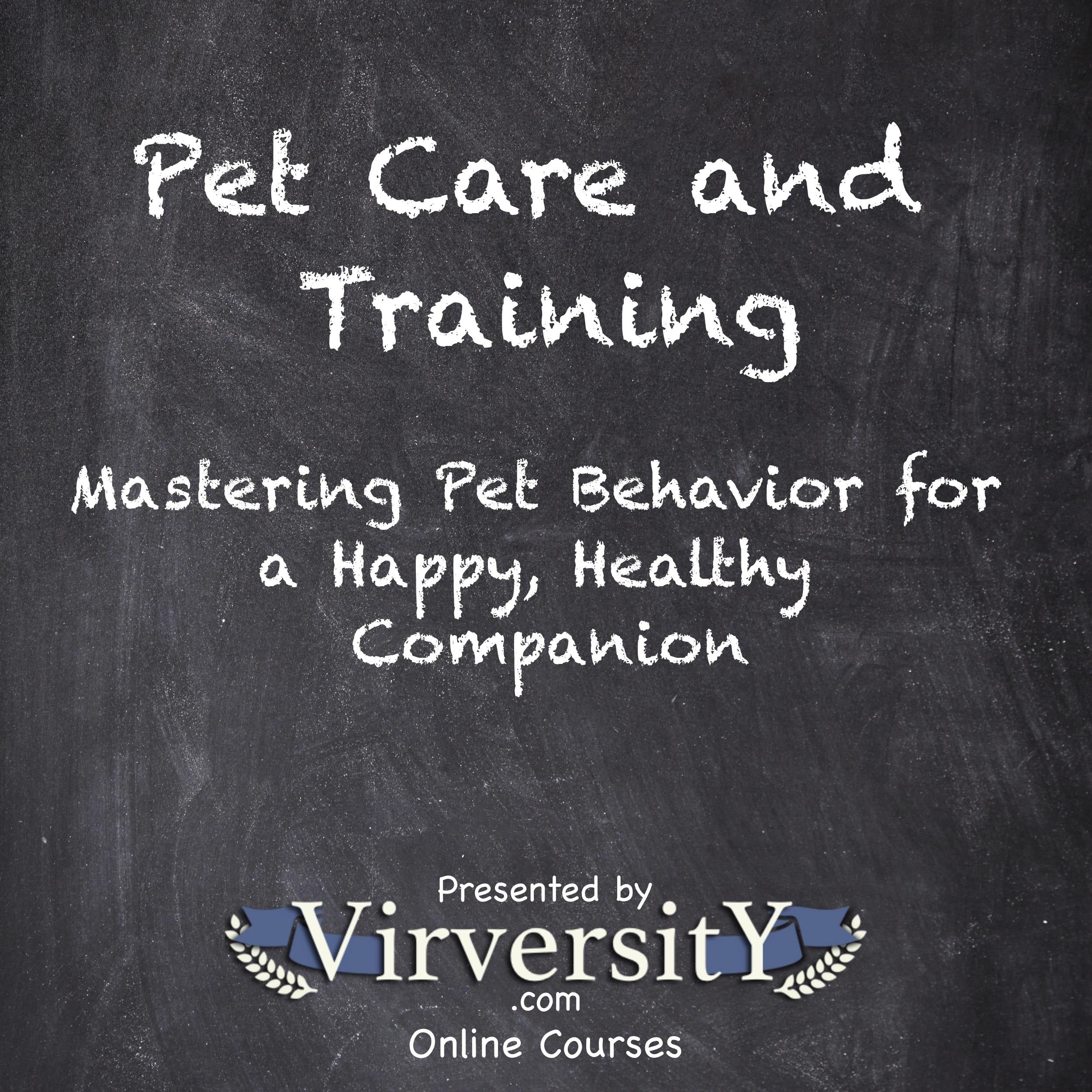 Pet Care and Training