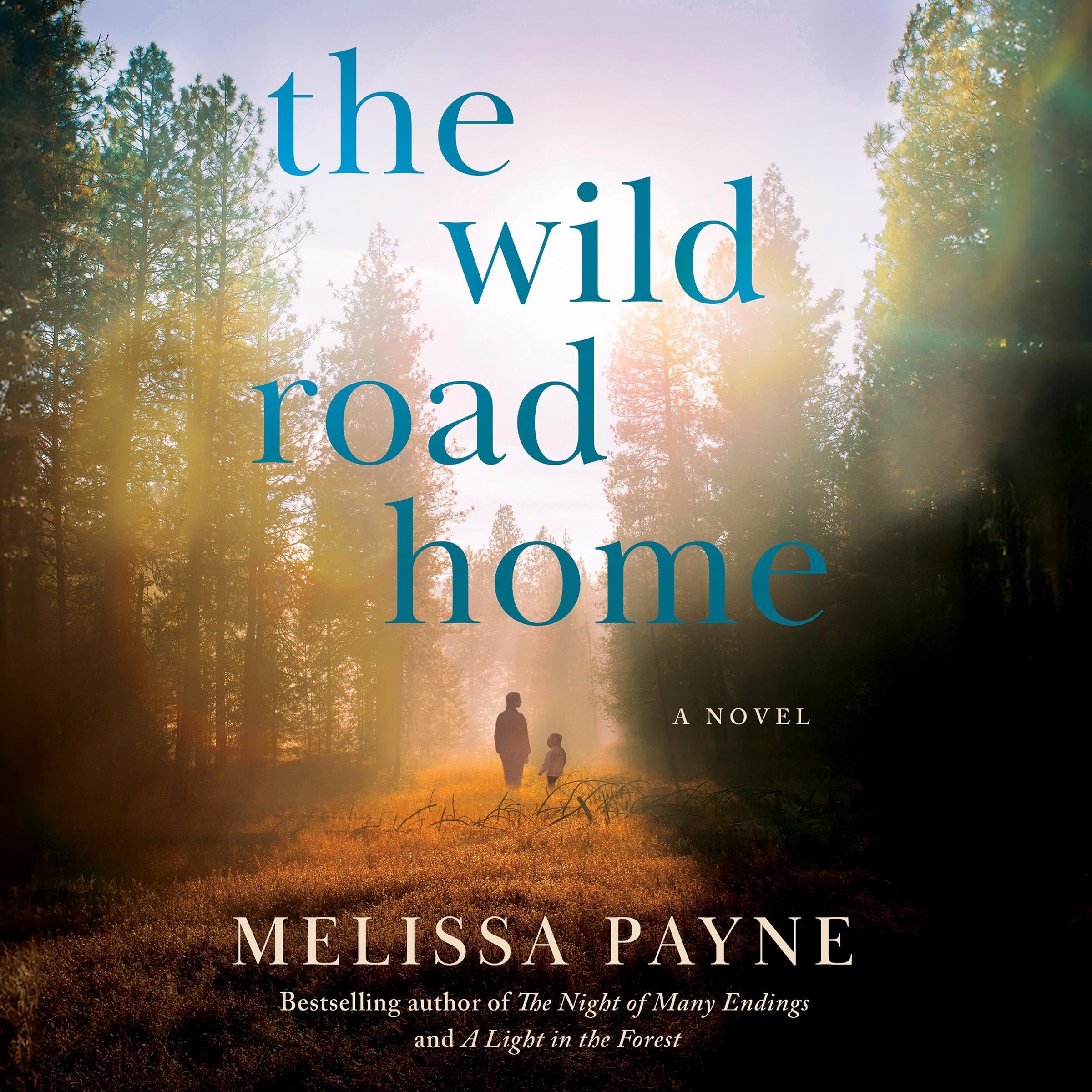 The Wild Road Home