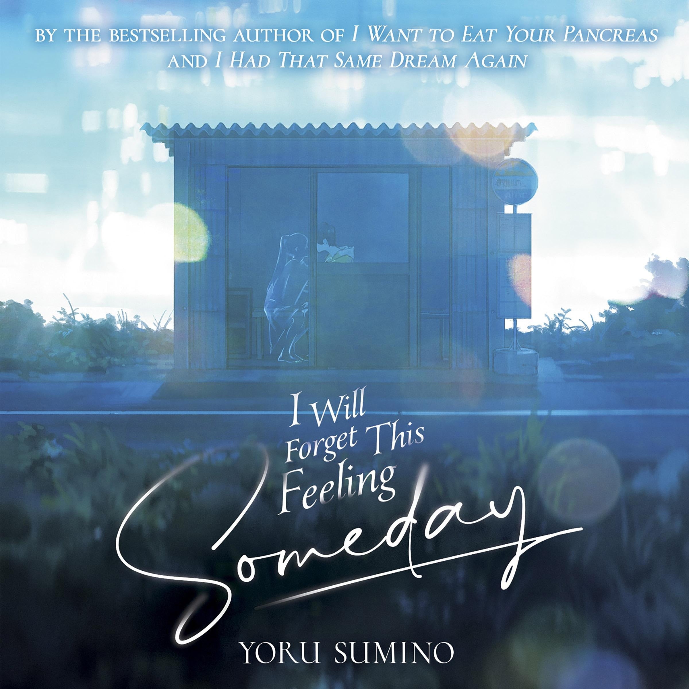 I Will Forget This Feeling Someday (Light Novel)