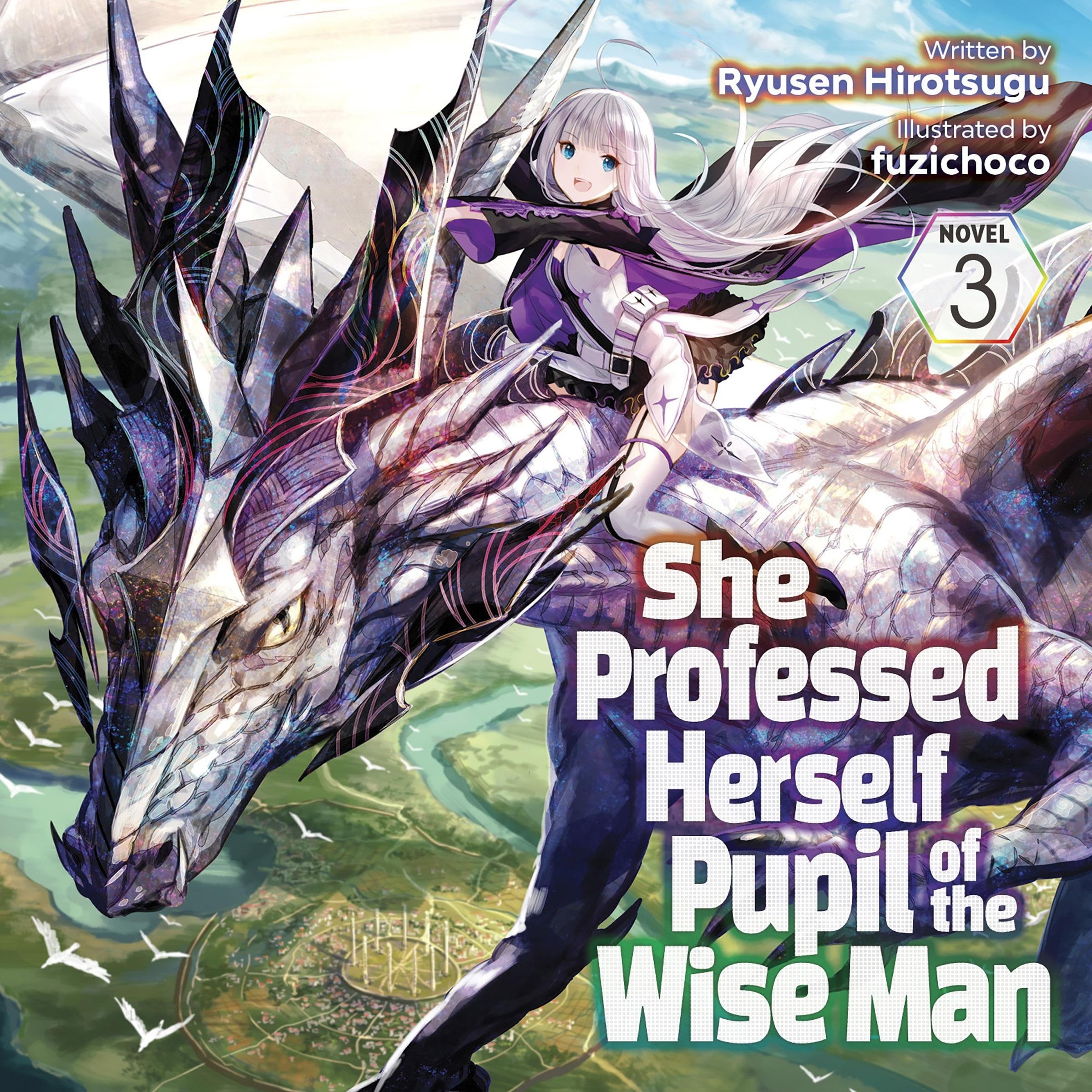 She Professed Herself Pupil of the Wise Man (Light Novel) Vol. 3