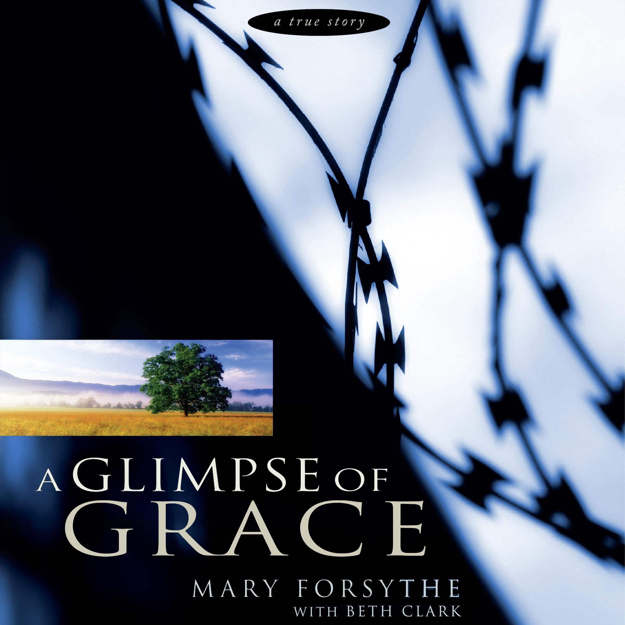 A Glimpse of Grace