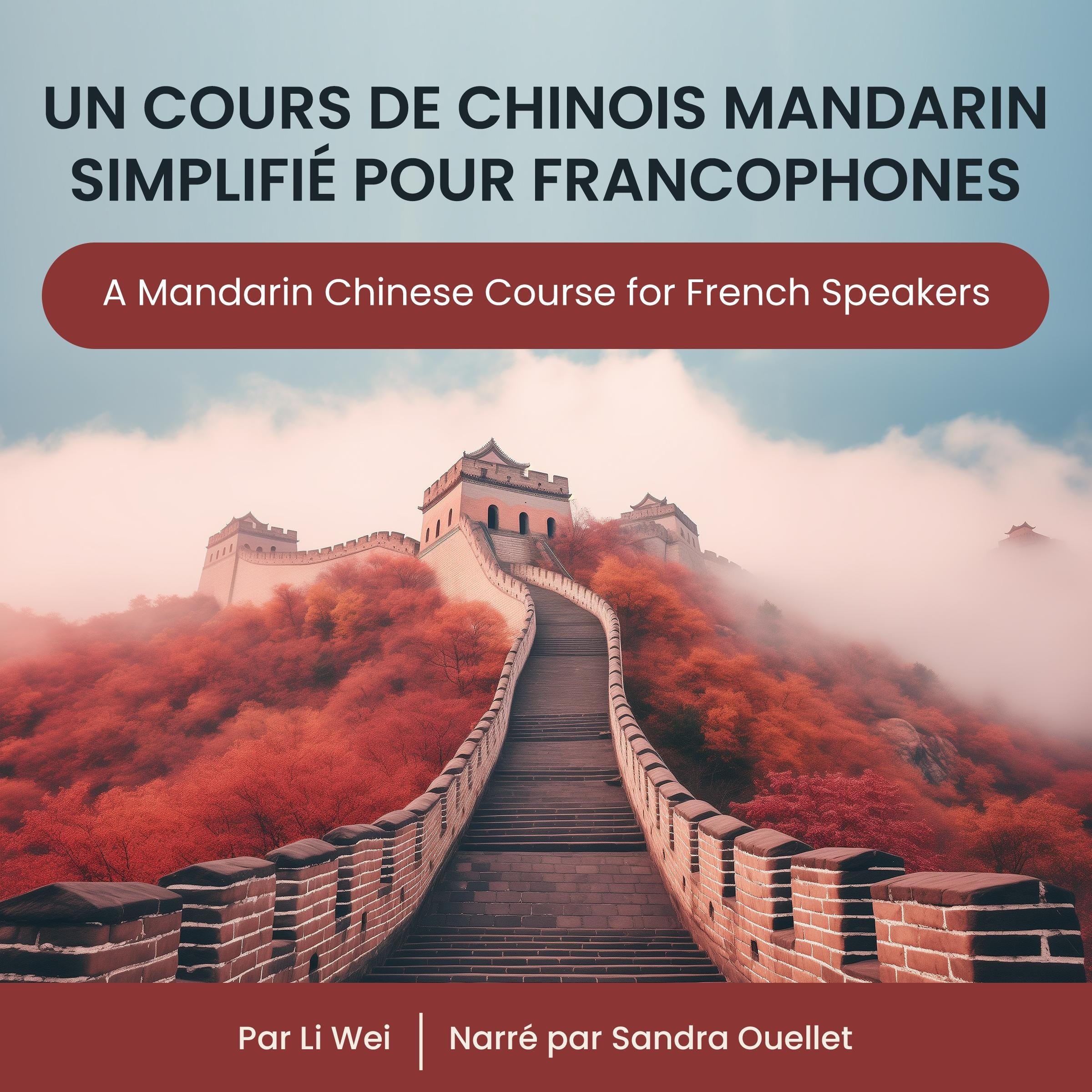 Un Cours de Chinois Mandarin Simplifié pour Francophones