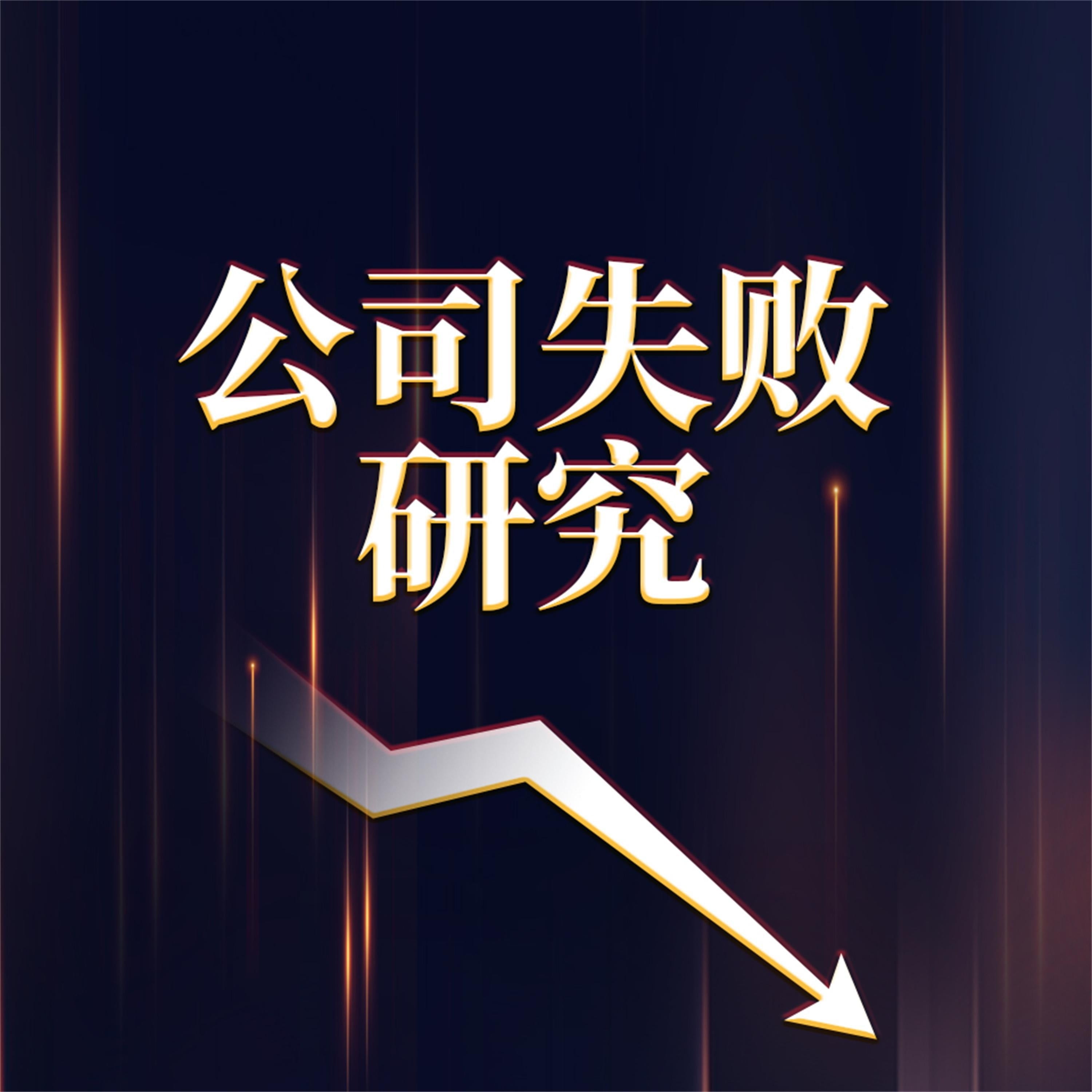 公司失败研究