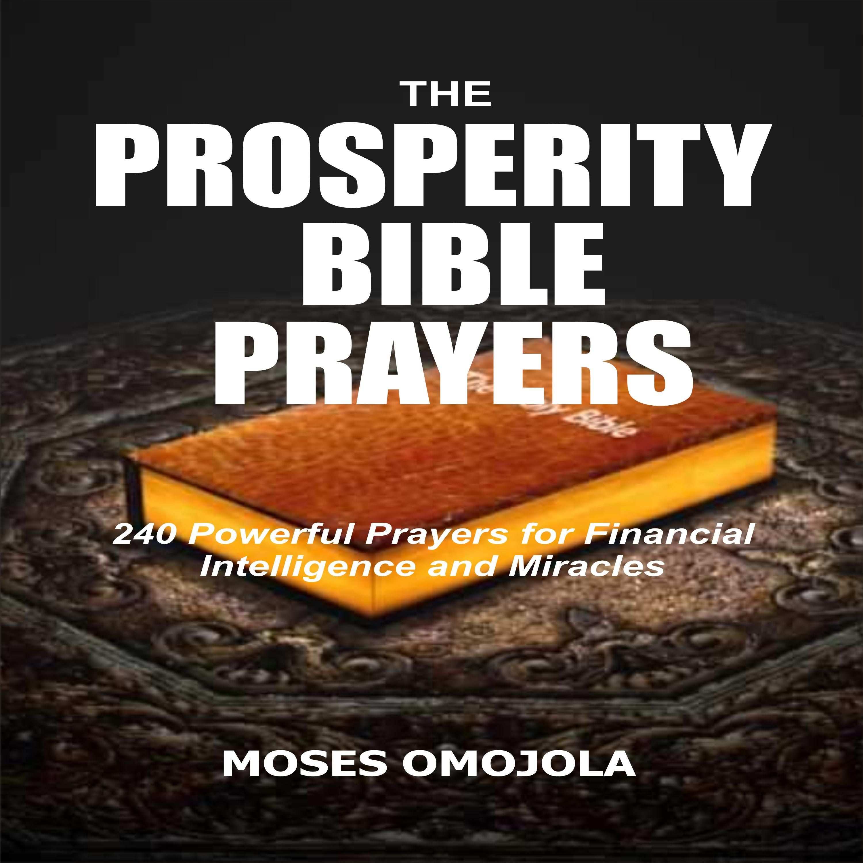 The Prosperity Bible Prayers: 240 Powerful Prayers for Financial Intelligence and Miracles