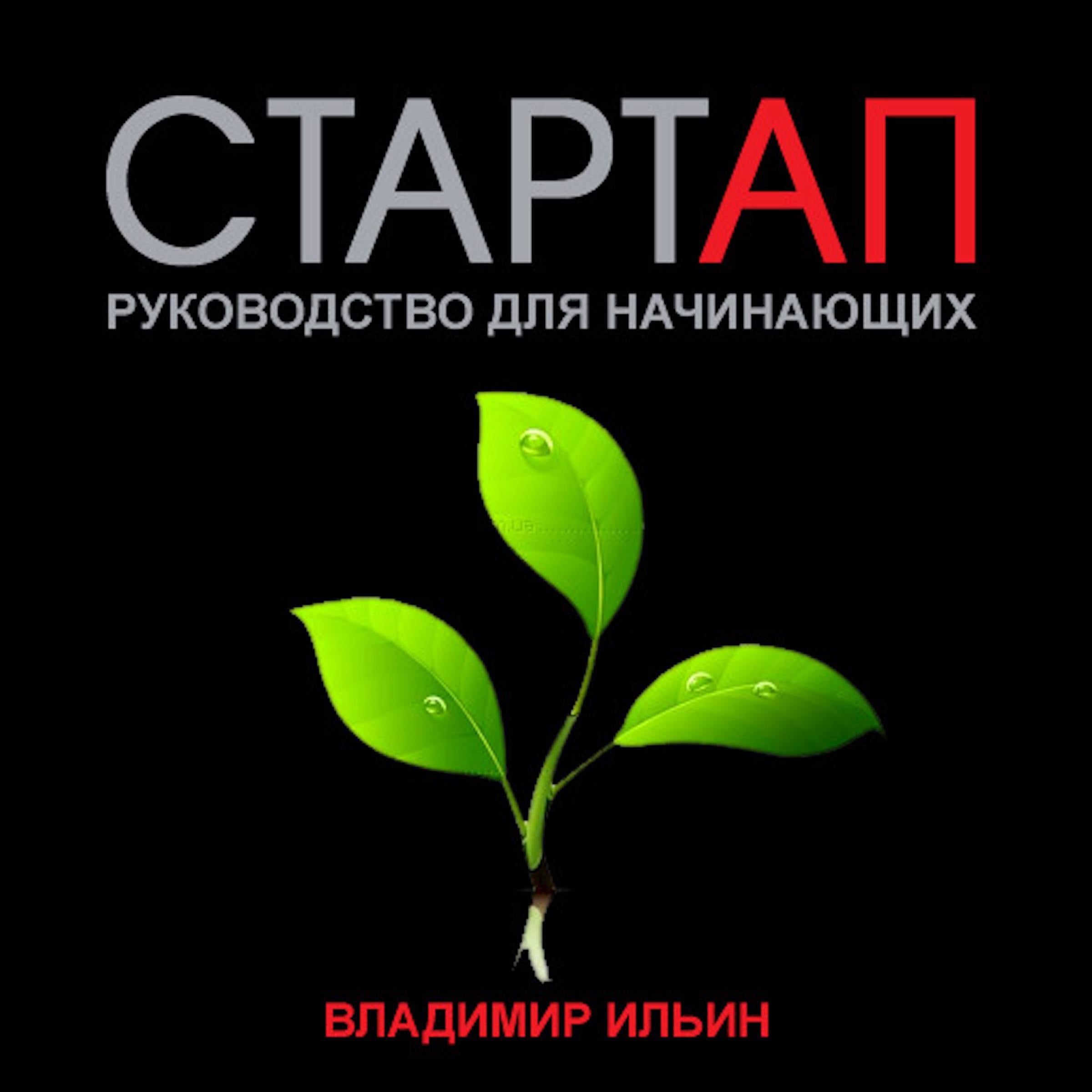 Startup: A beginner’s guide