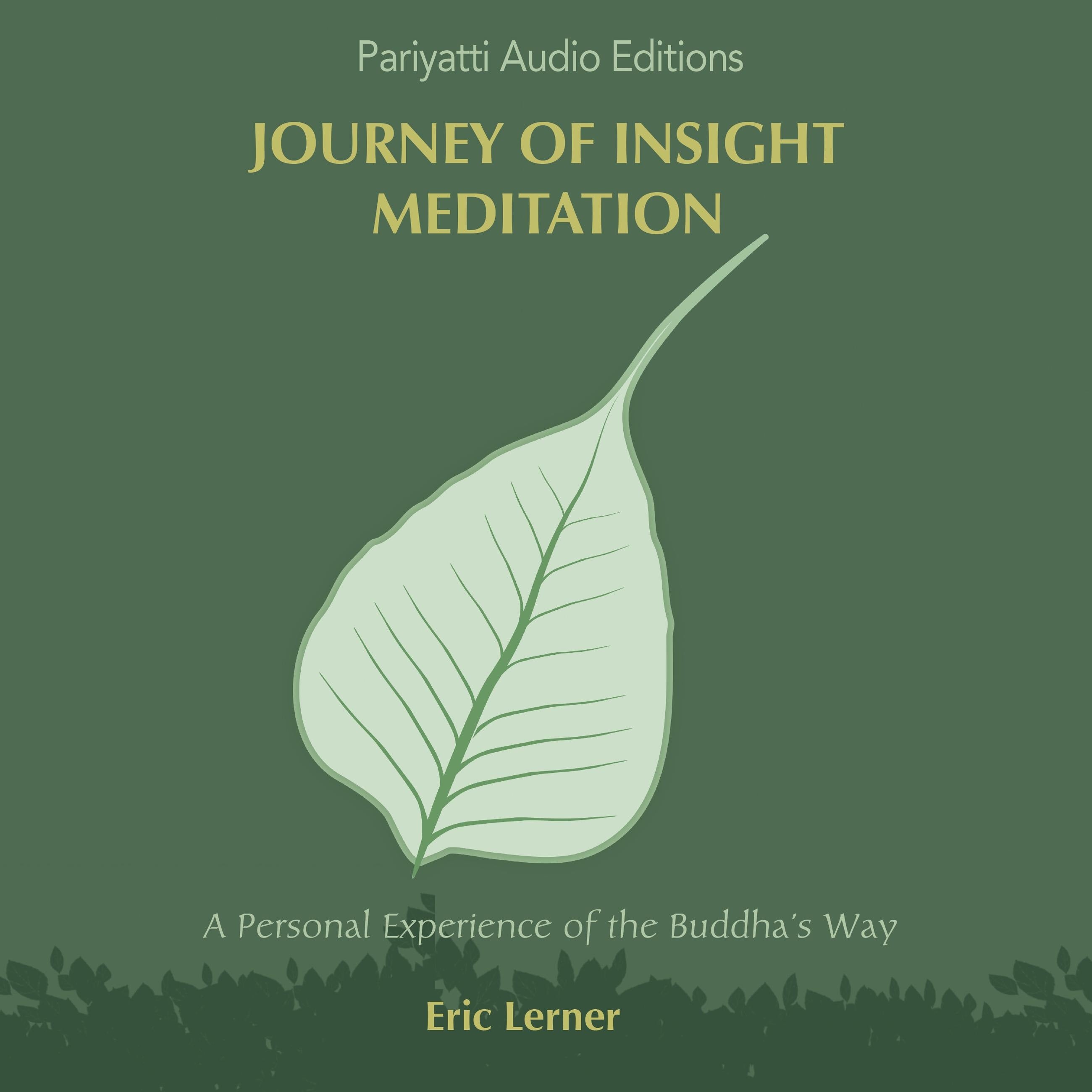 Journey of Insight Meditation