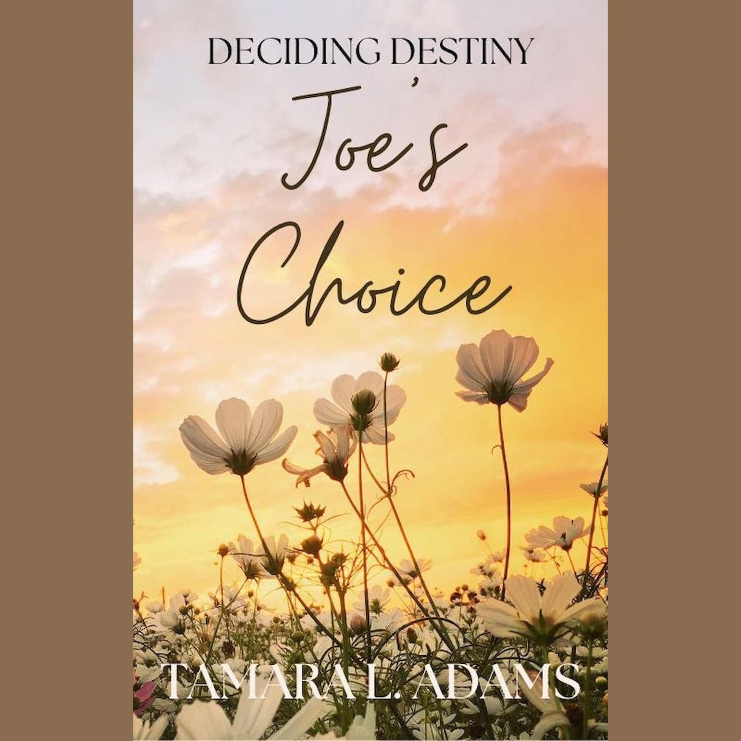 Deciding Destiny: Joe's Choice