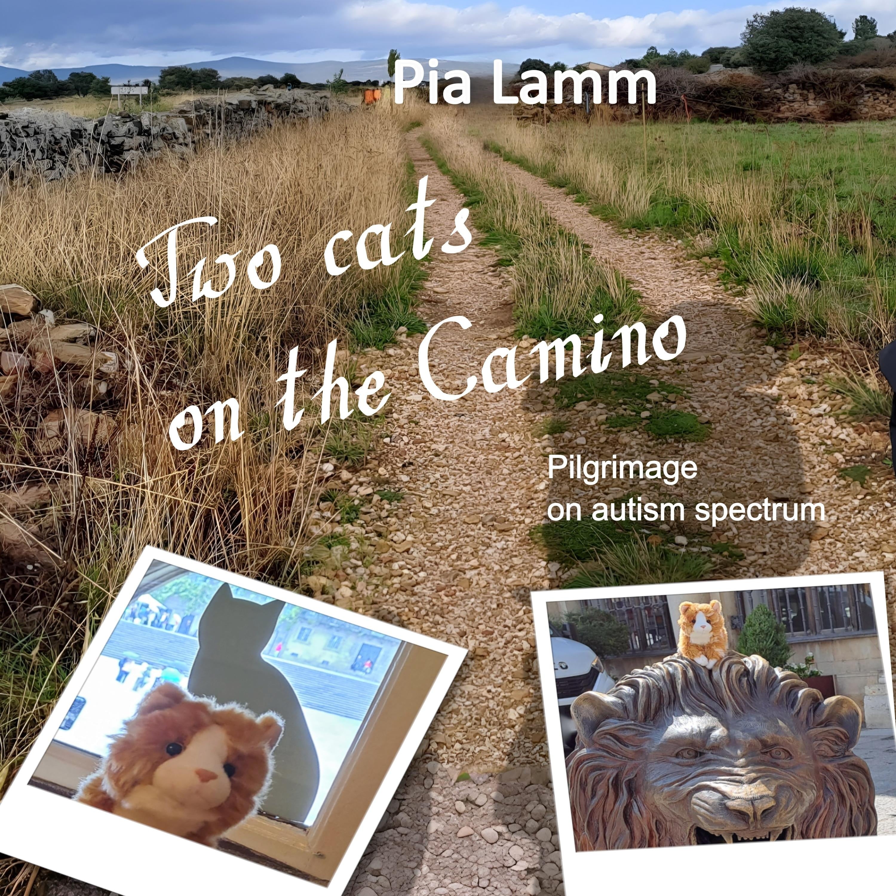 Two Cats on the Camino