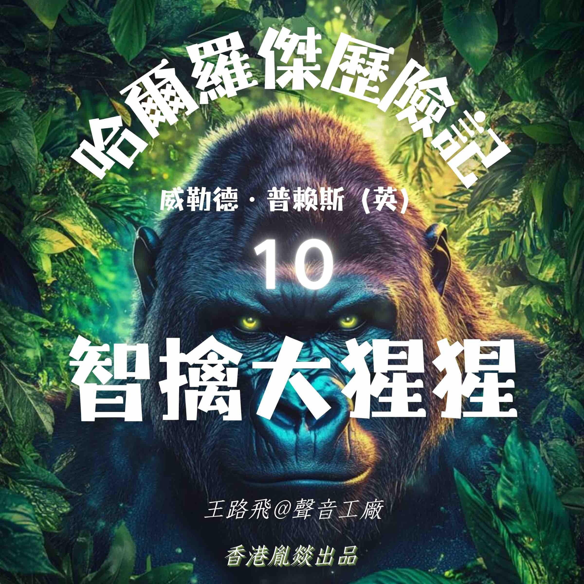 哈爾羅傑歷險記｜第十部 智擒大猩猩