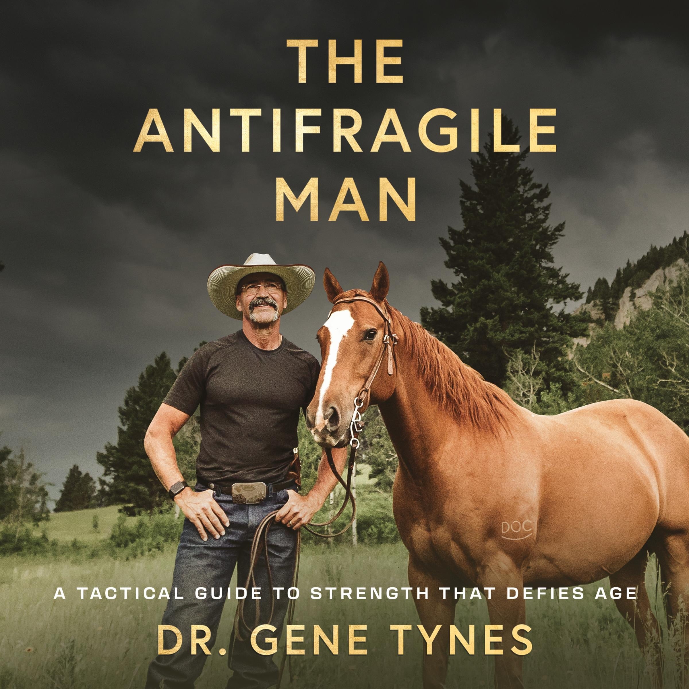The Antifragile Man