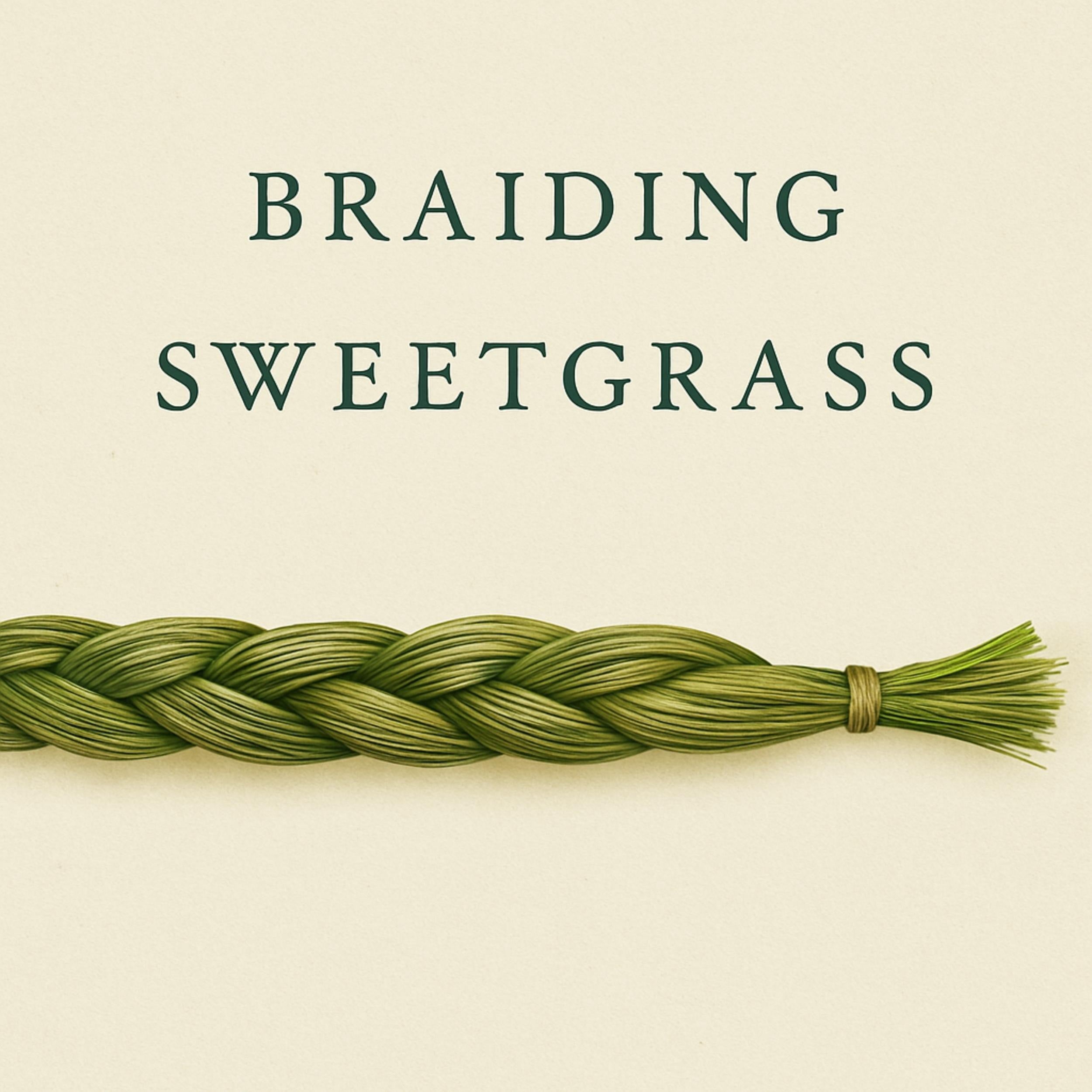 Book summary & analysis of Braiding Sweetgrass by Robin Wall Kimmerer