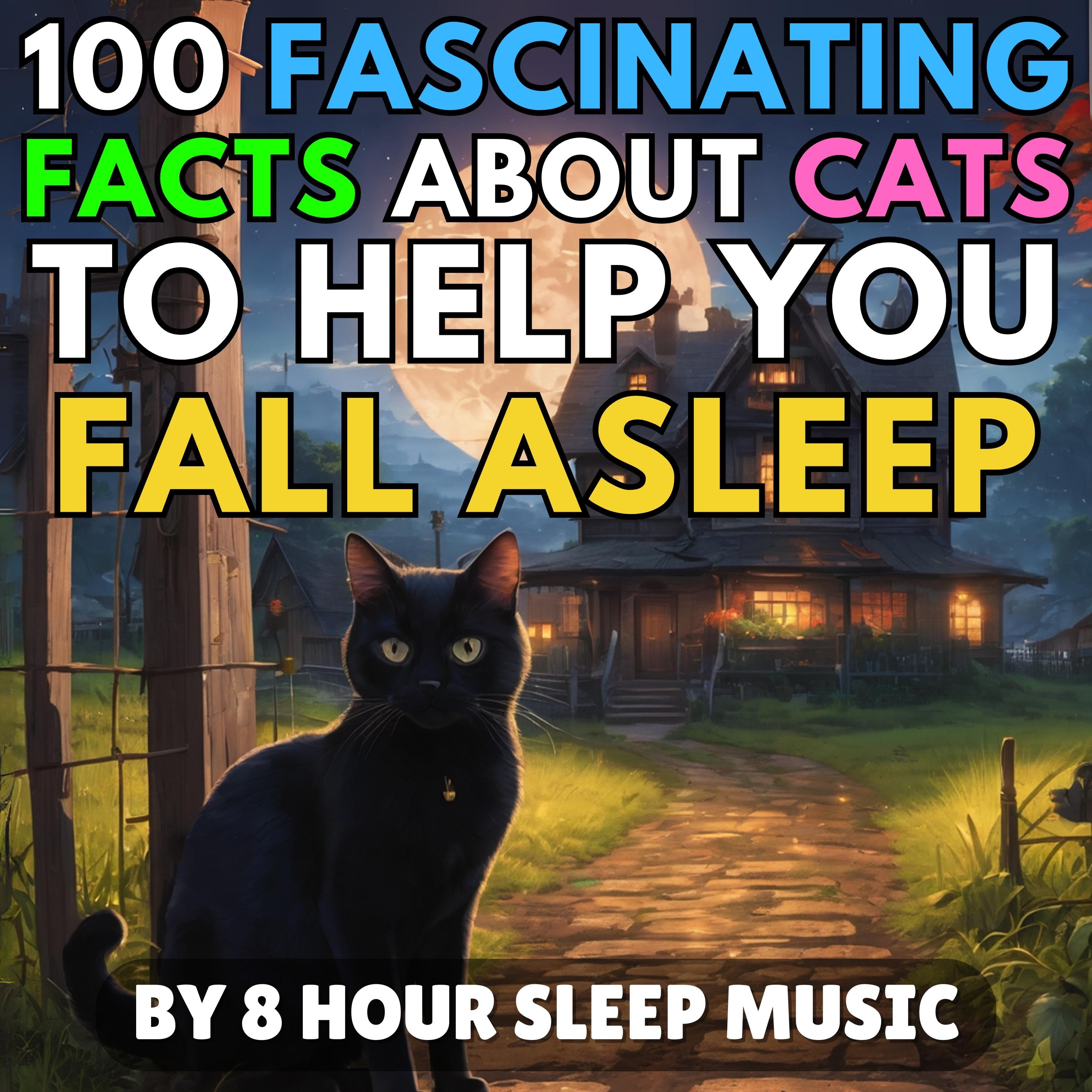 100 Fascinating Facts About Cats to Help You Fall Asleep