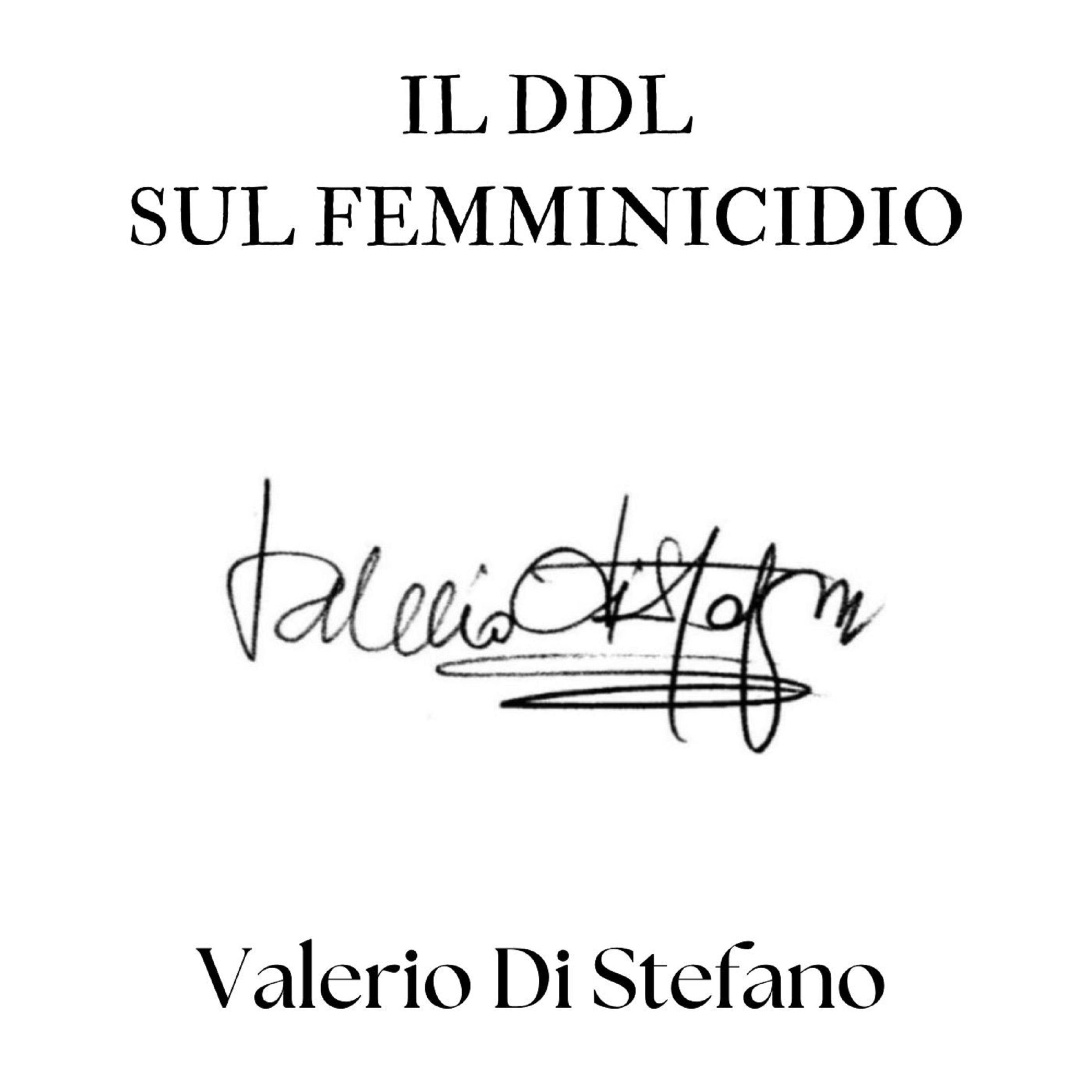 Il DDL sul femminicidio