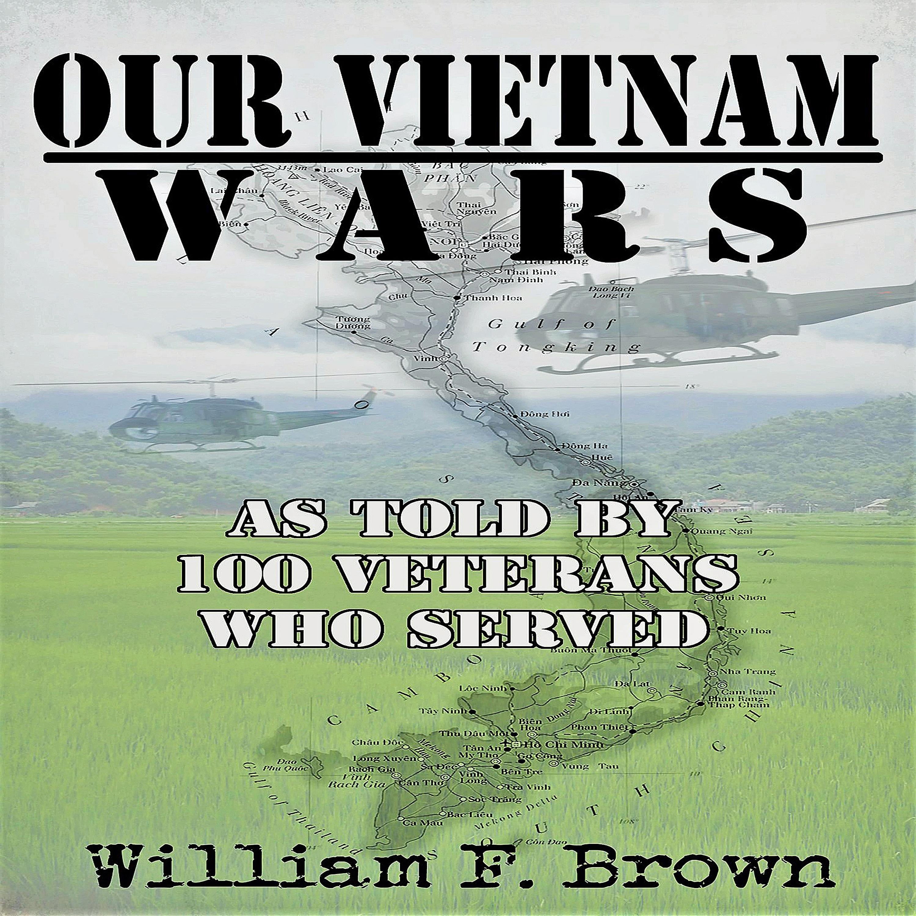 Our Vietnam Wars, Volume 1