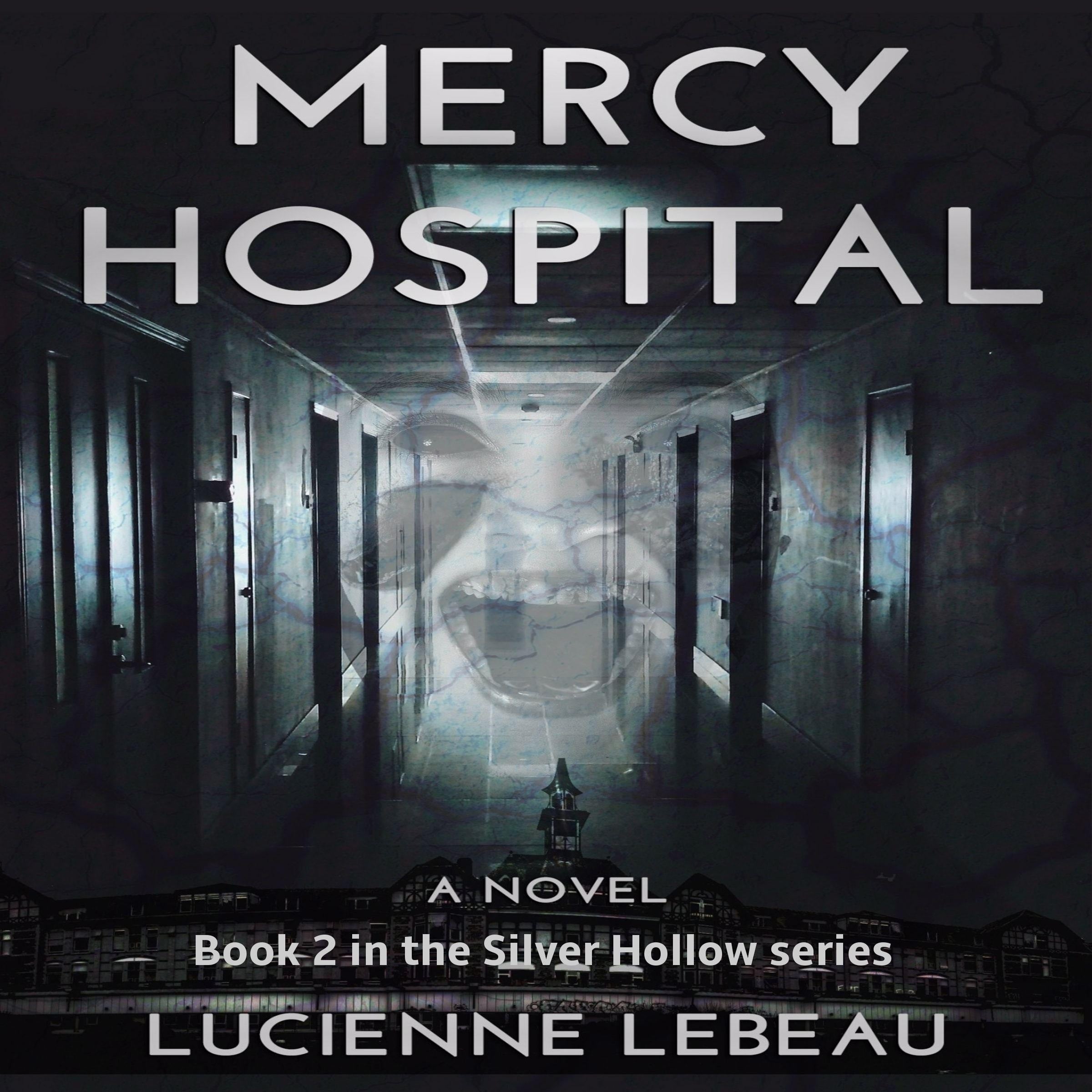 Mercy Hospital:  Book 2 in the Silver Hollow series