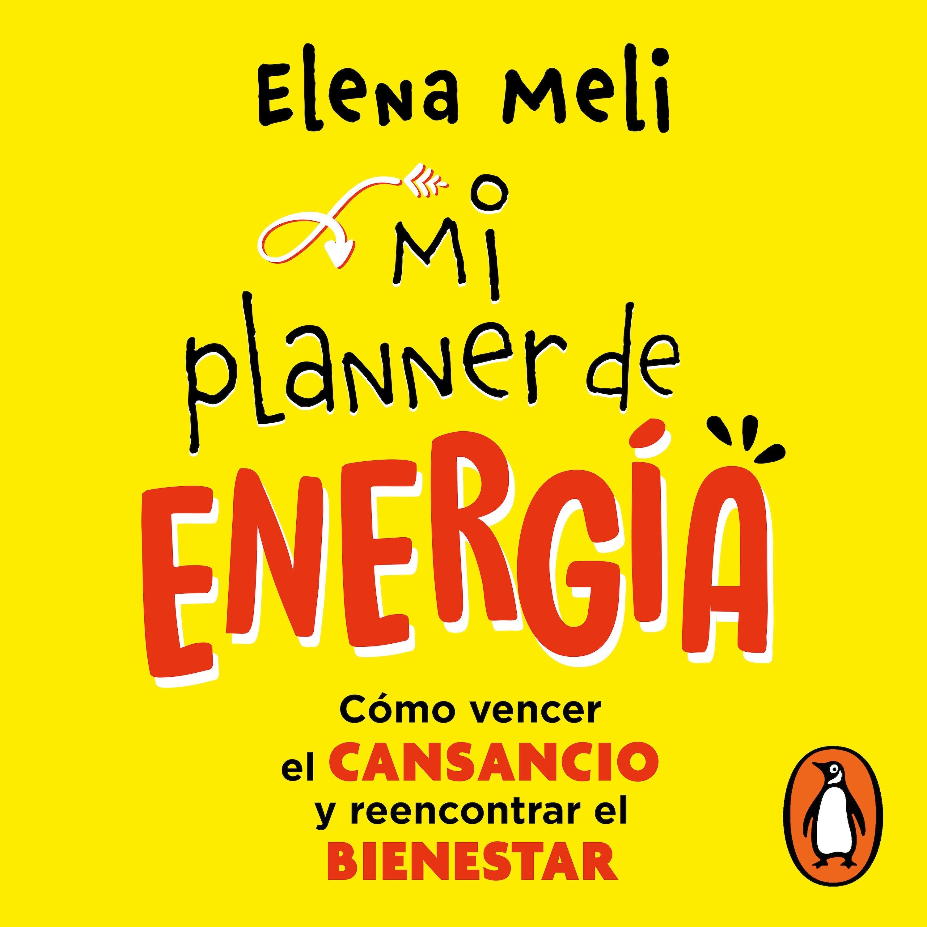 Mi planner de energia