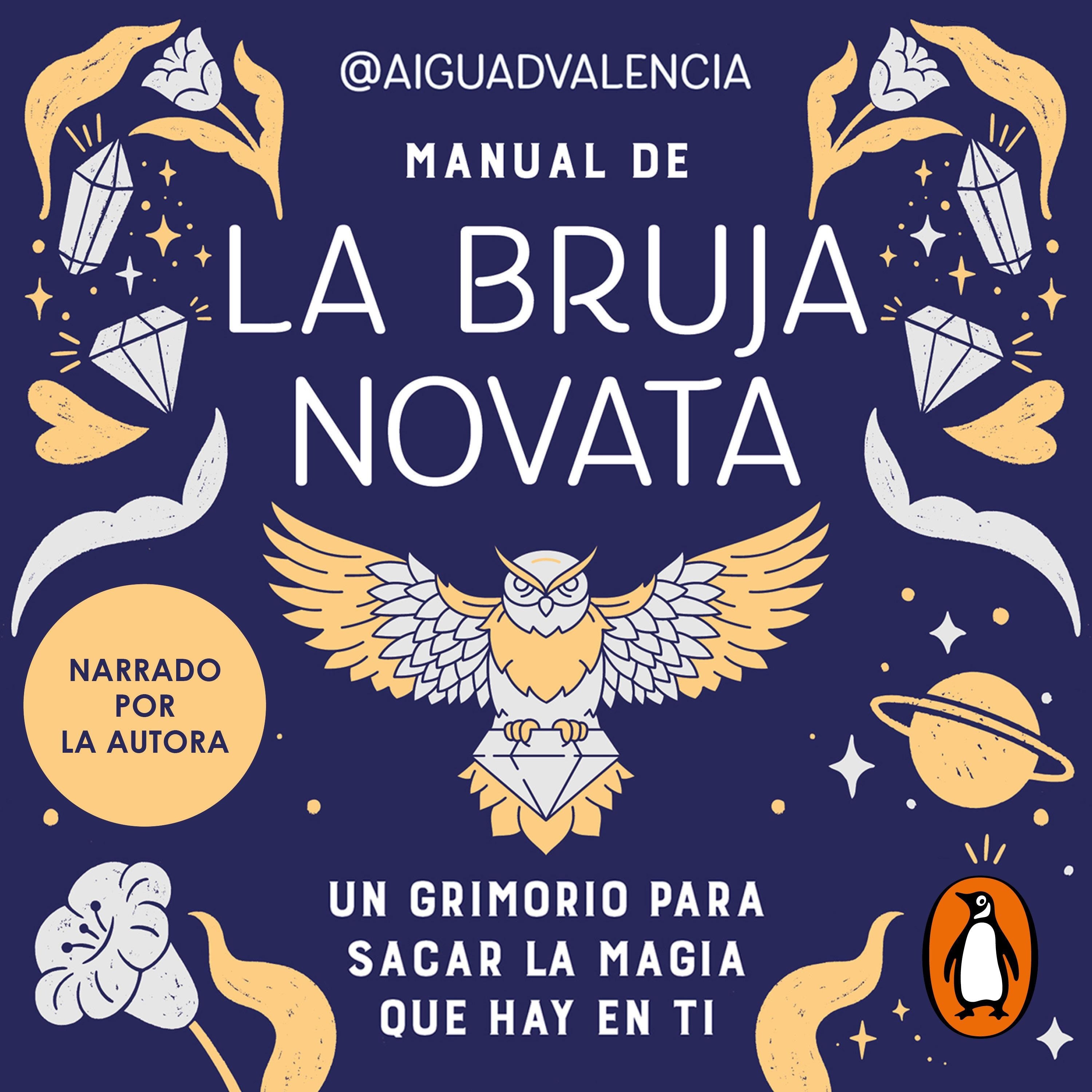 Manual de la bruja novata