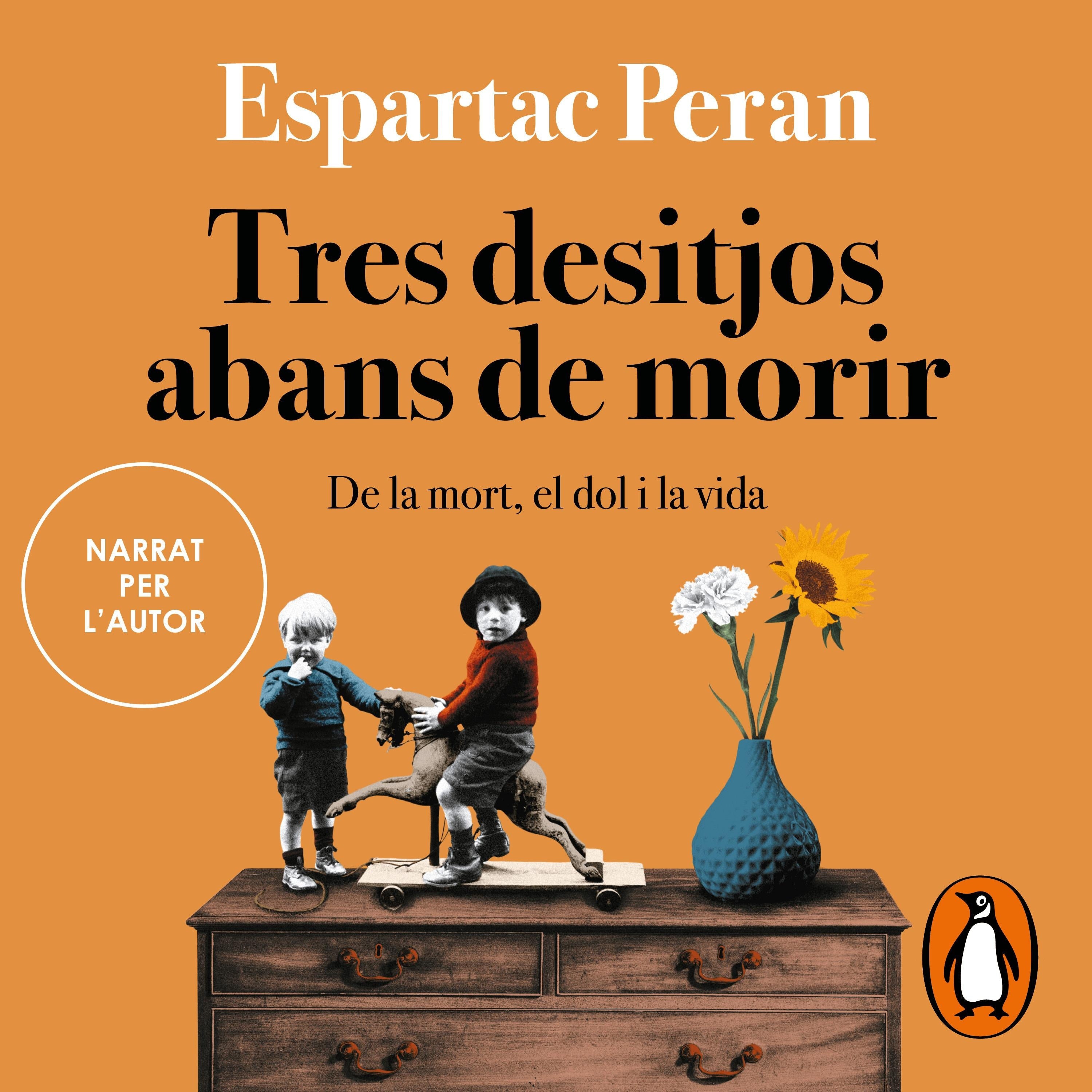 Tres desitjos abans de morir