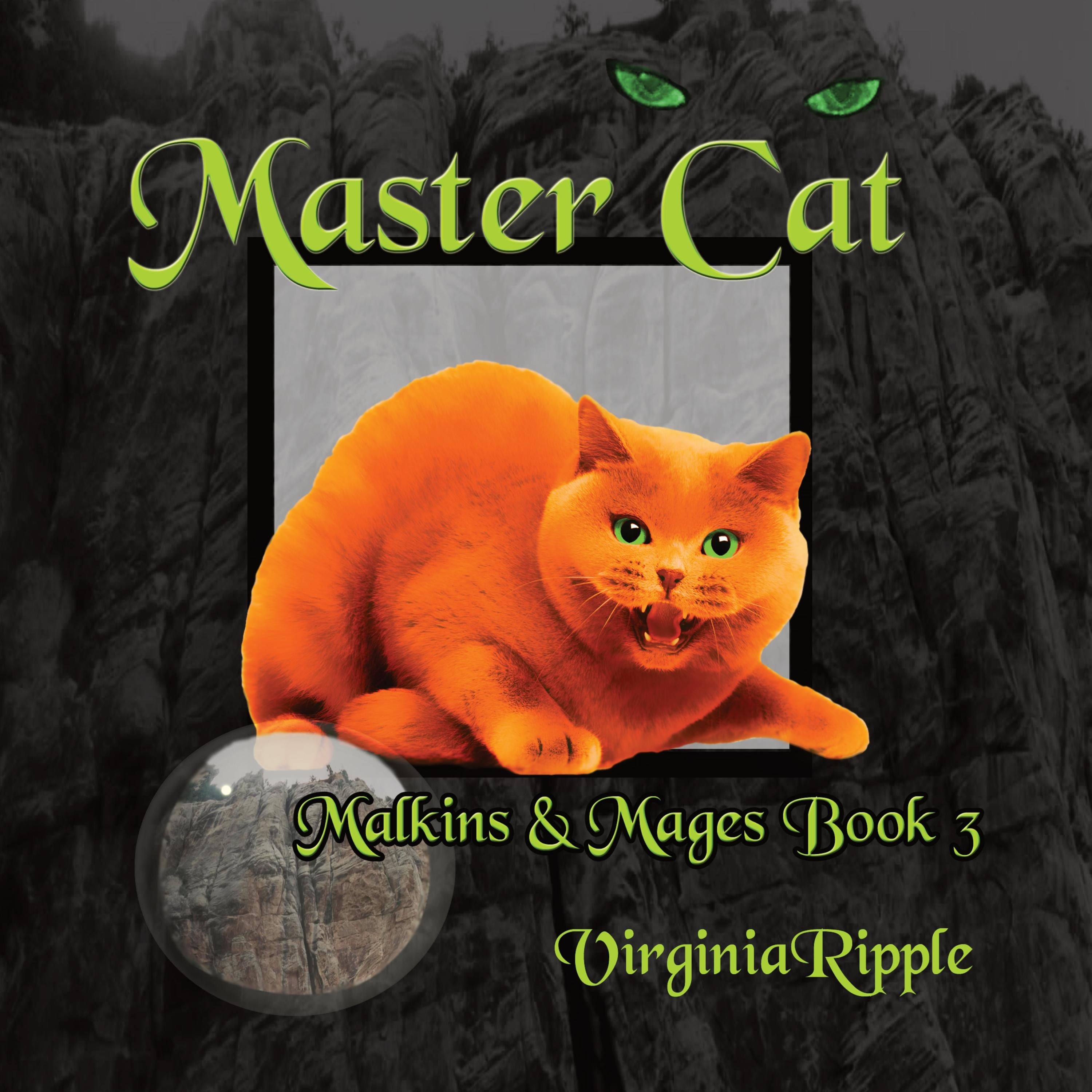 Master Cat
