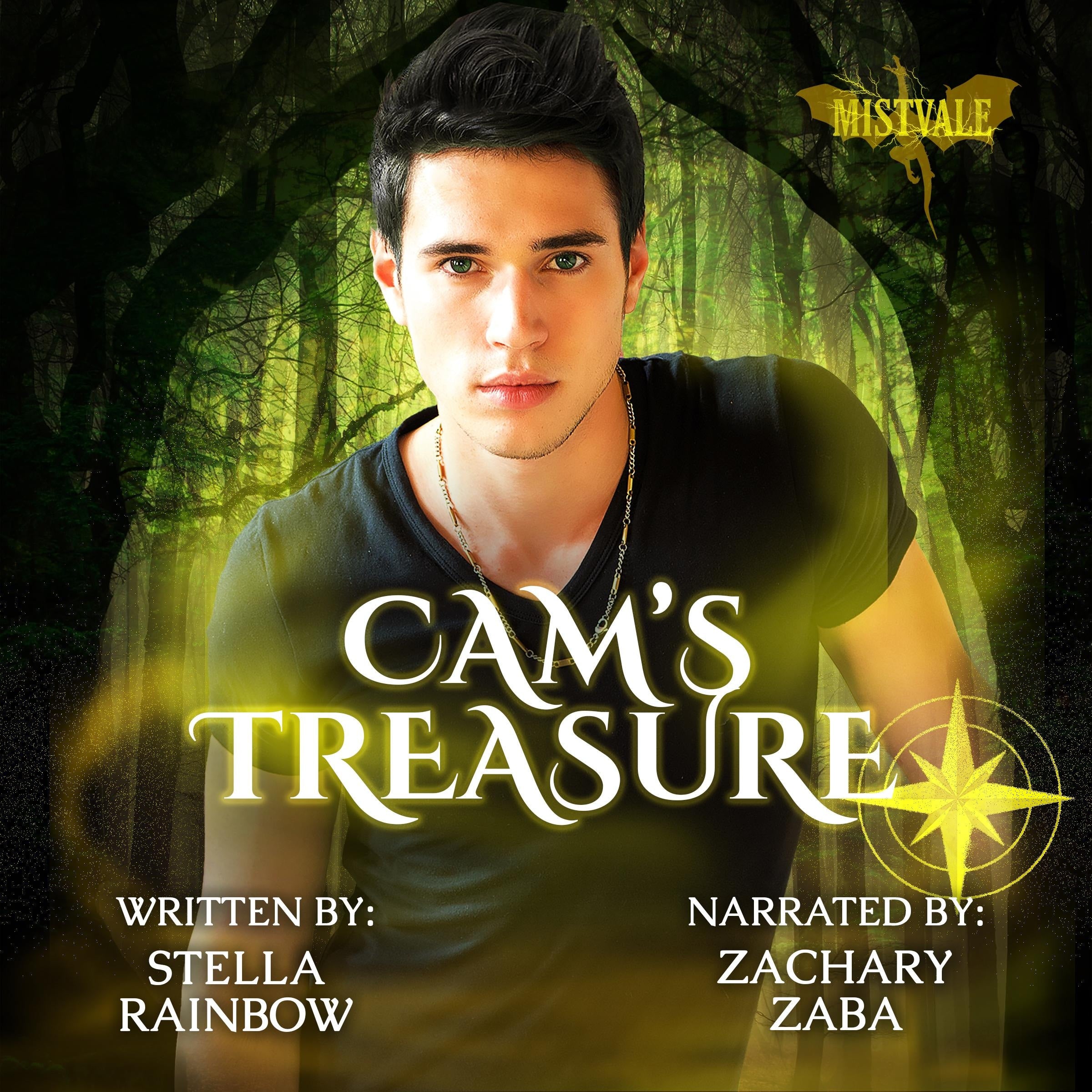 Cam's Treasure
