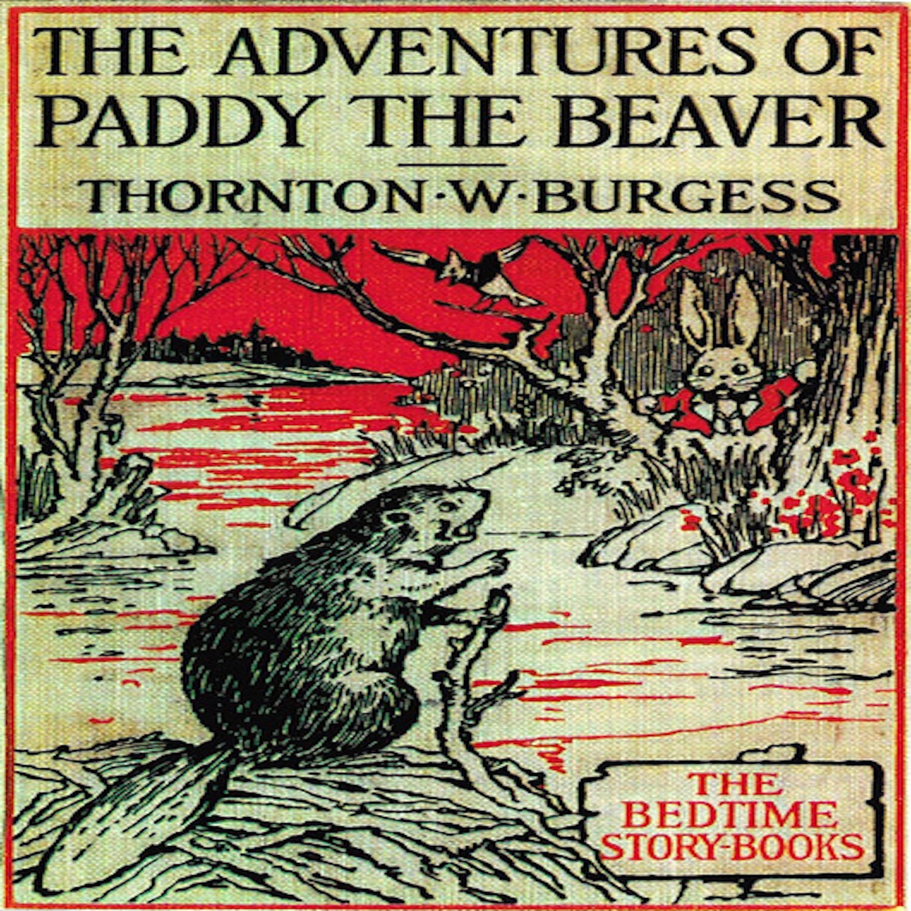 The Adventures of Paddy the Beaver