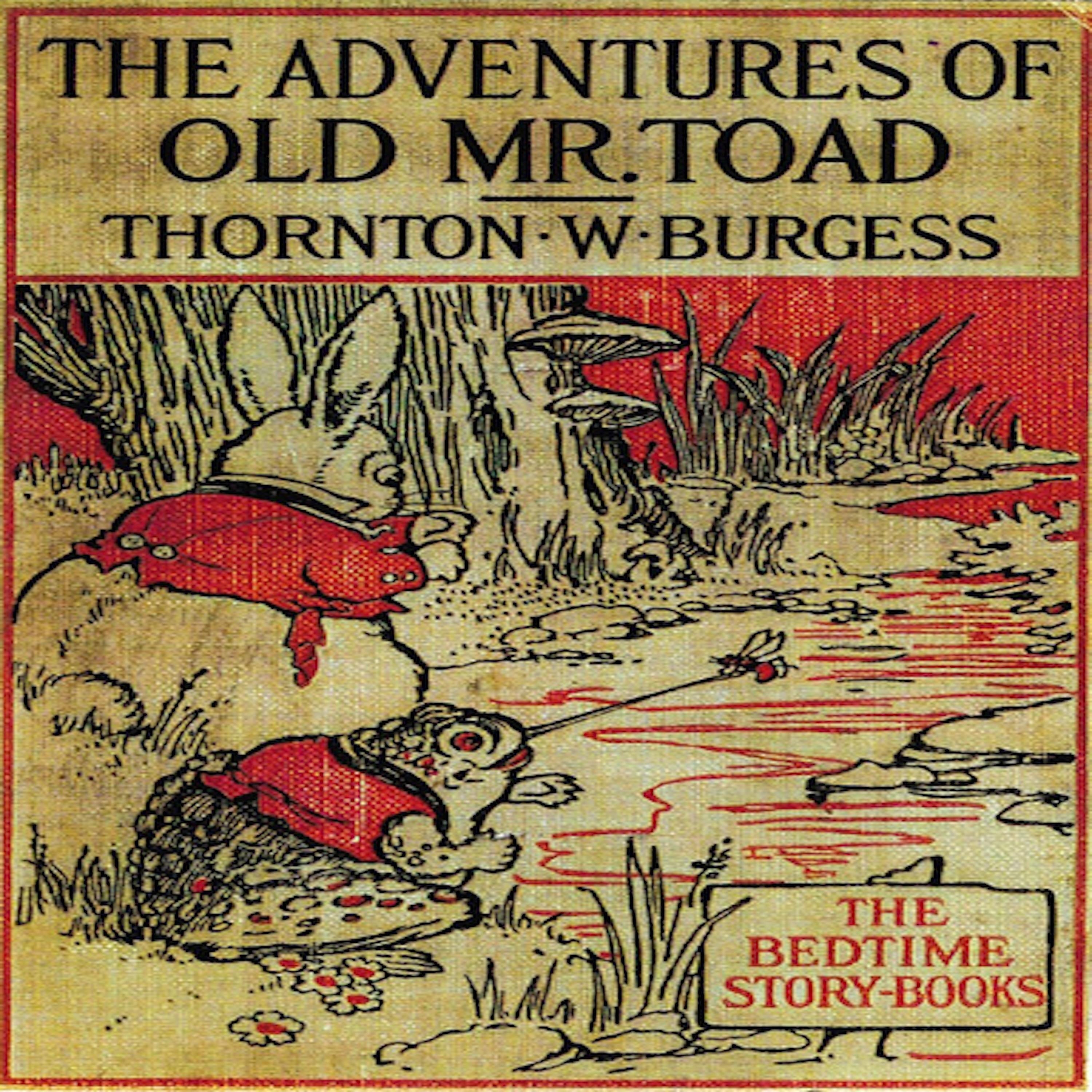 The Adventures of Old Mr. Toad