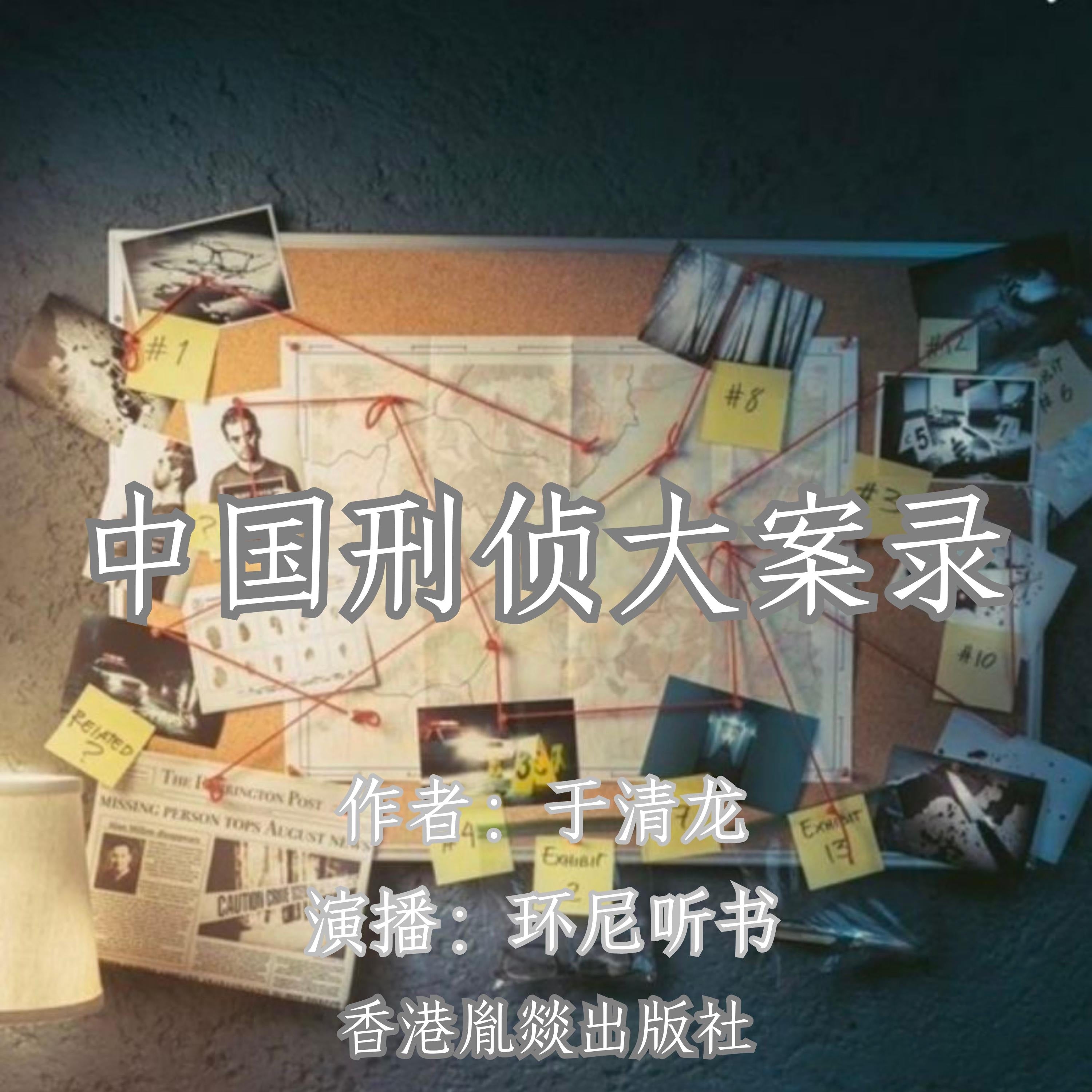 中国刑侦大案录