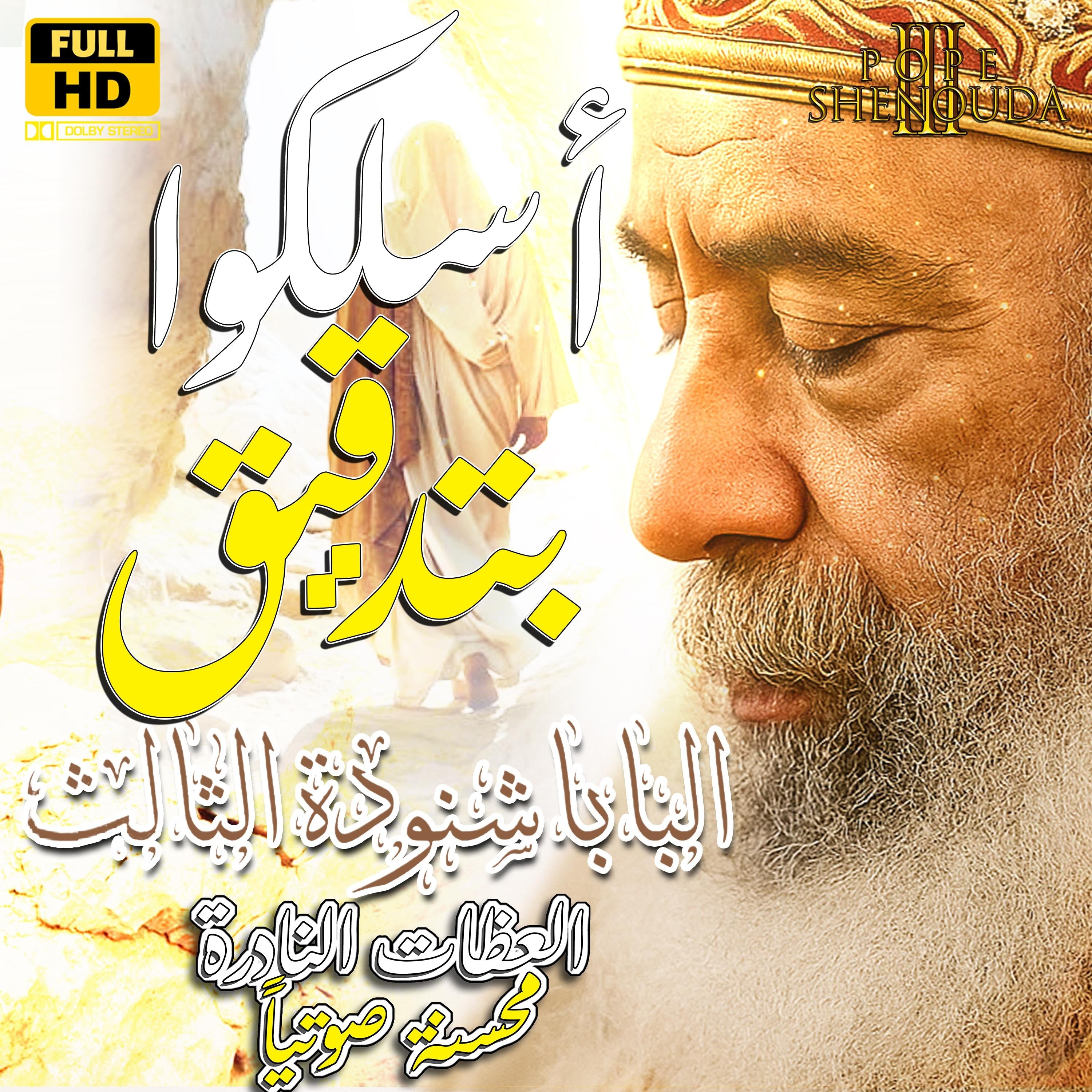 أسلكوا بتدقيق