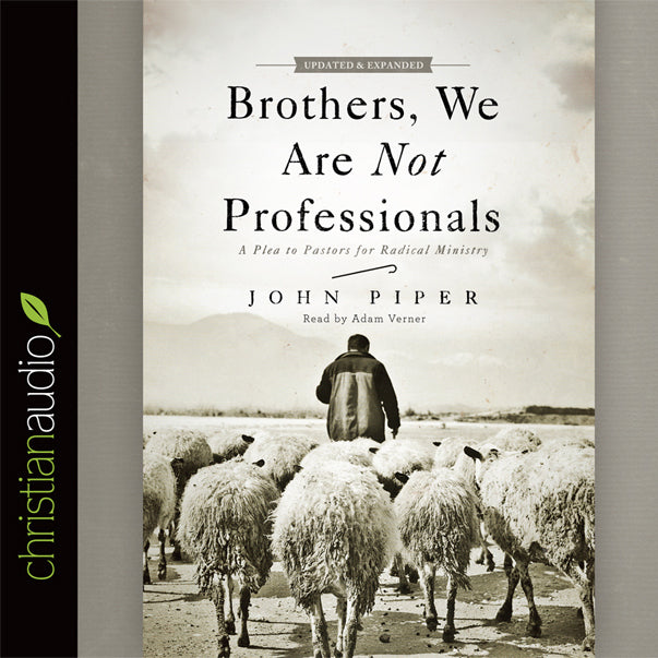 Brothers, We Are Not Professionals