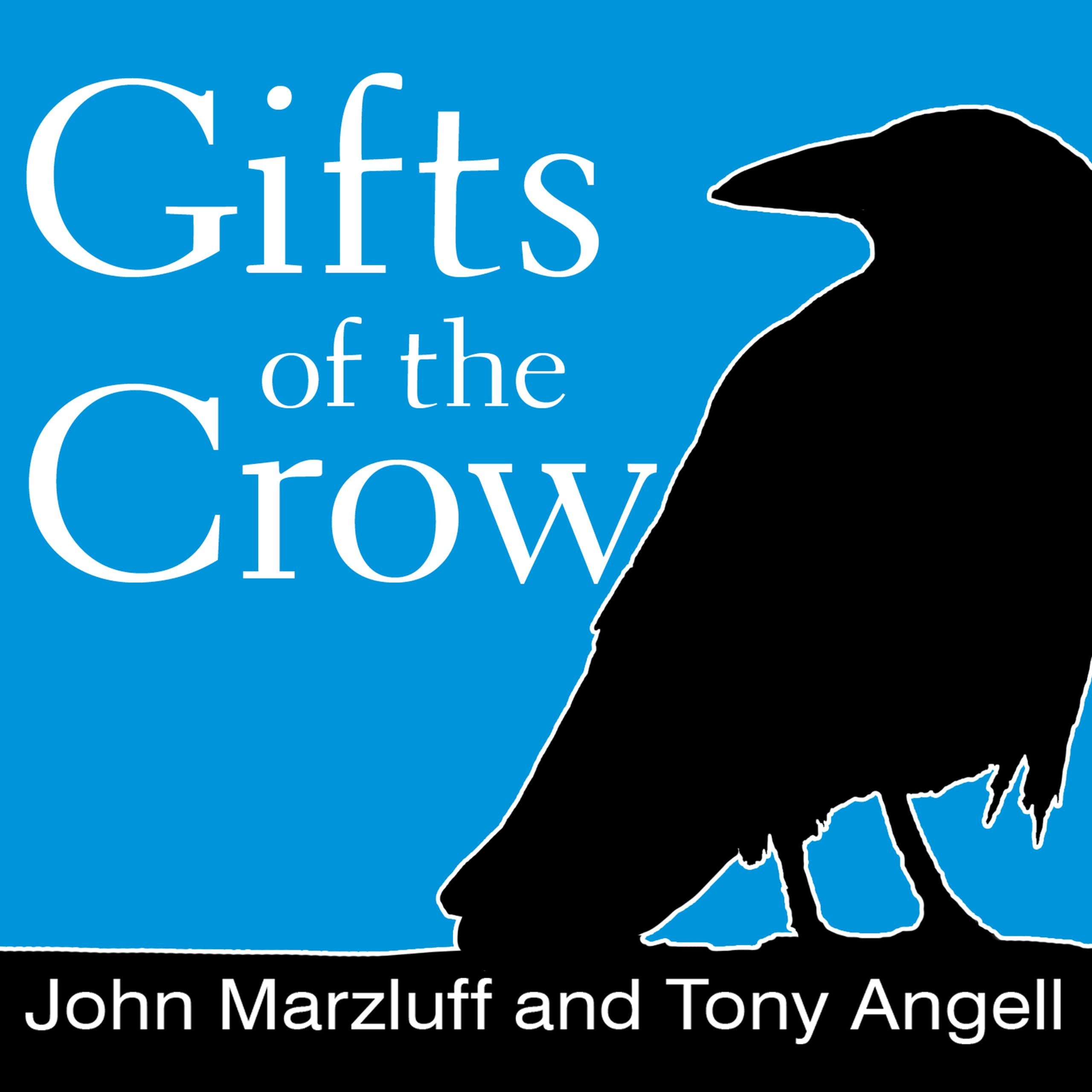 Gifts of the Crow