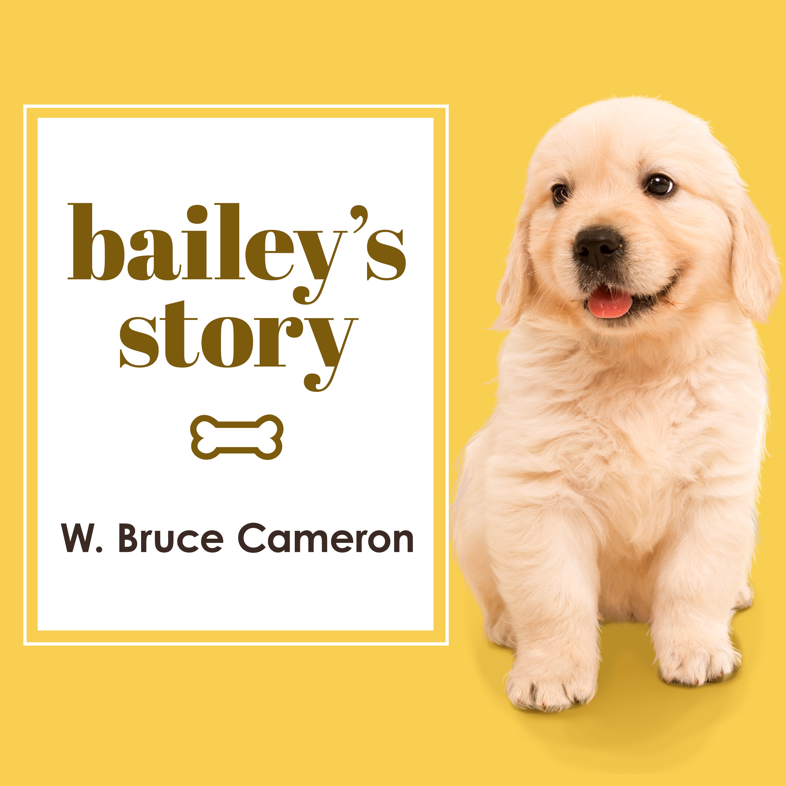 Bailey's Story