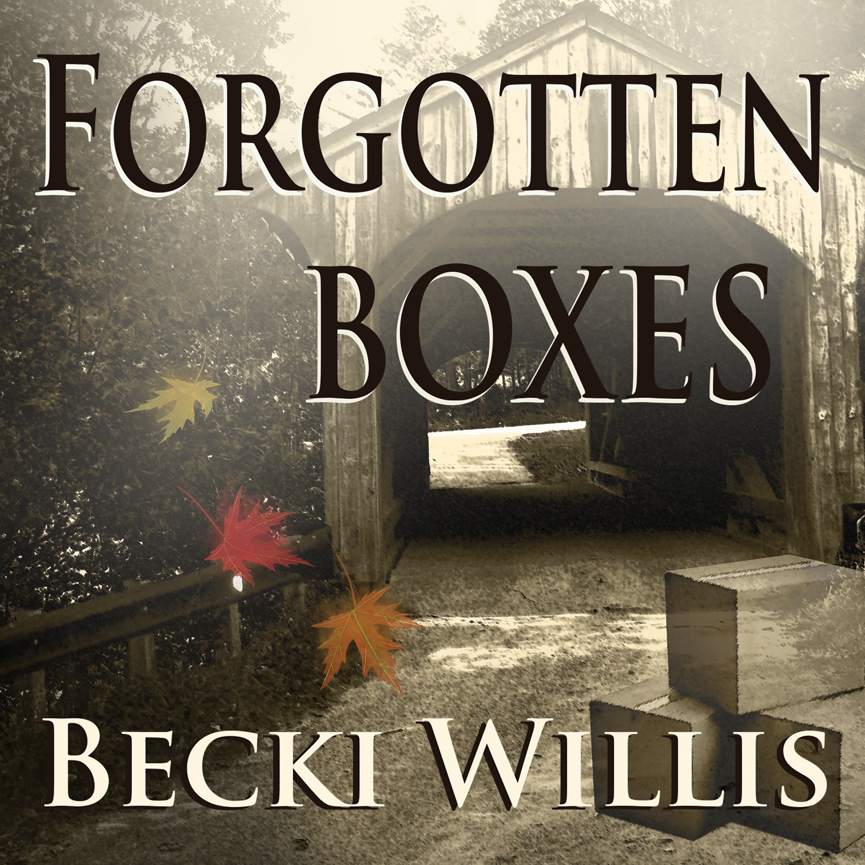 Forgotten Boxes