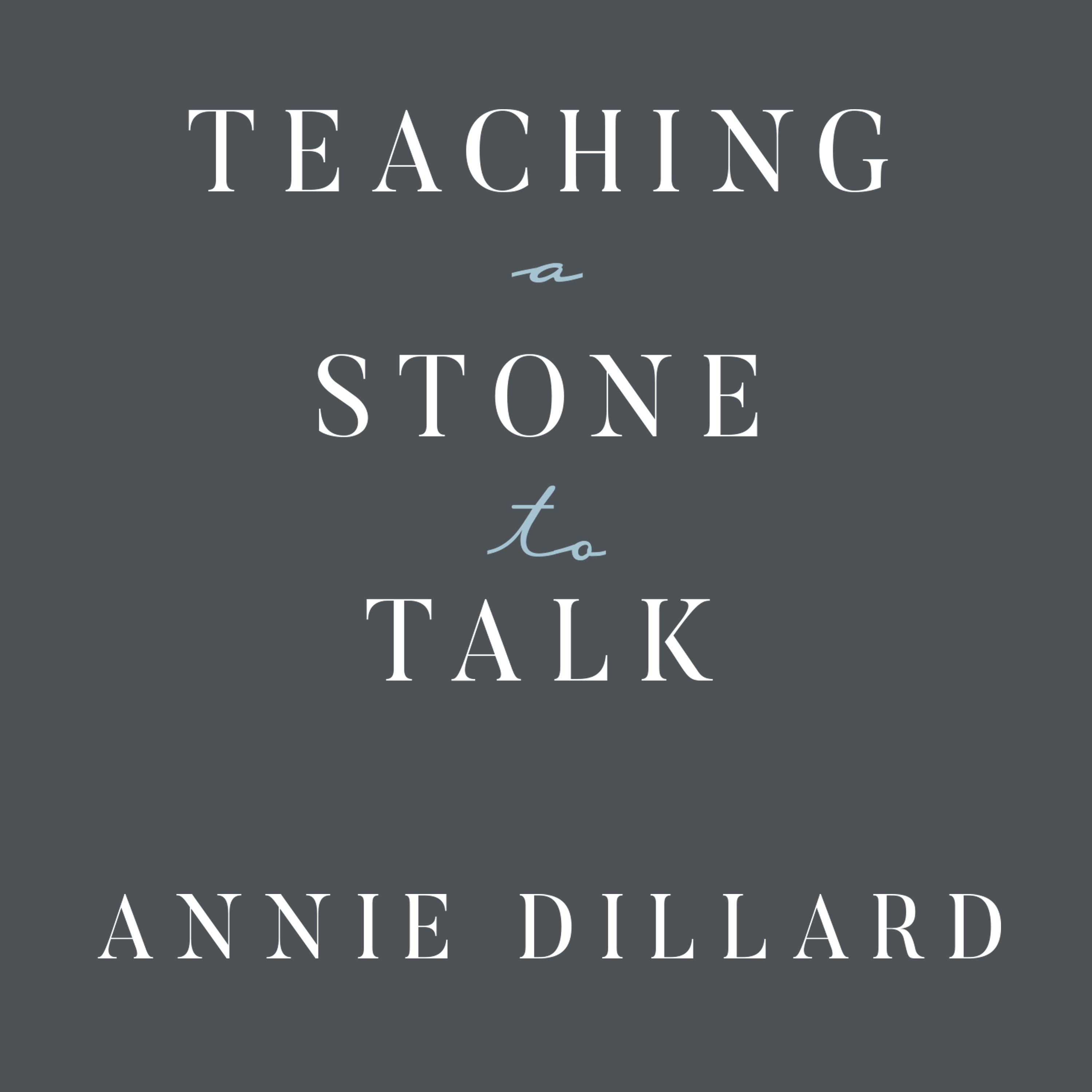Teaching a Stone to Talk