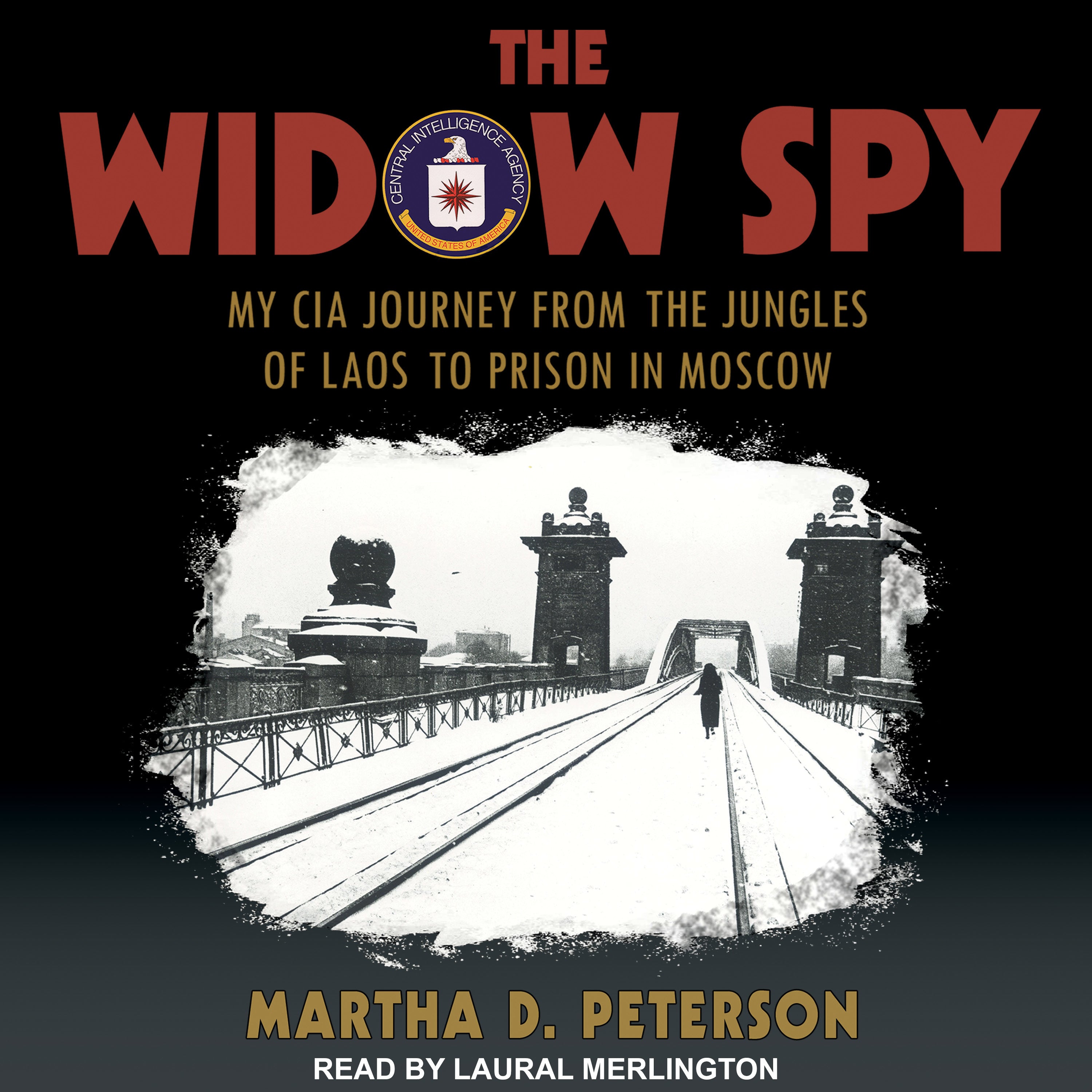 The Widow Spy